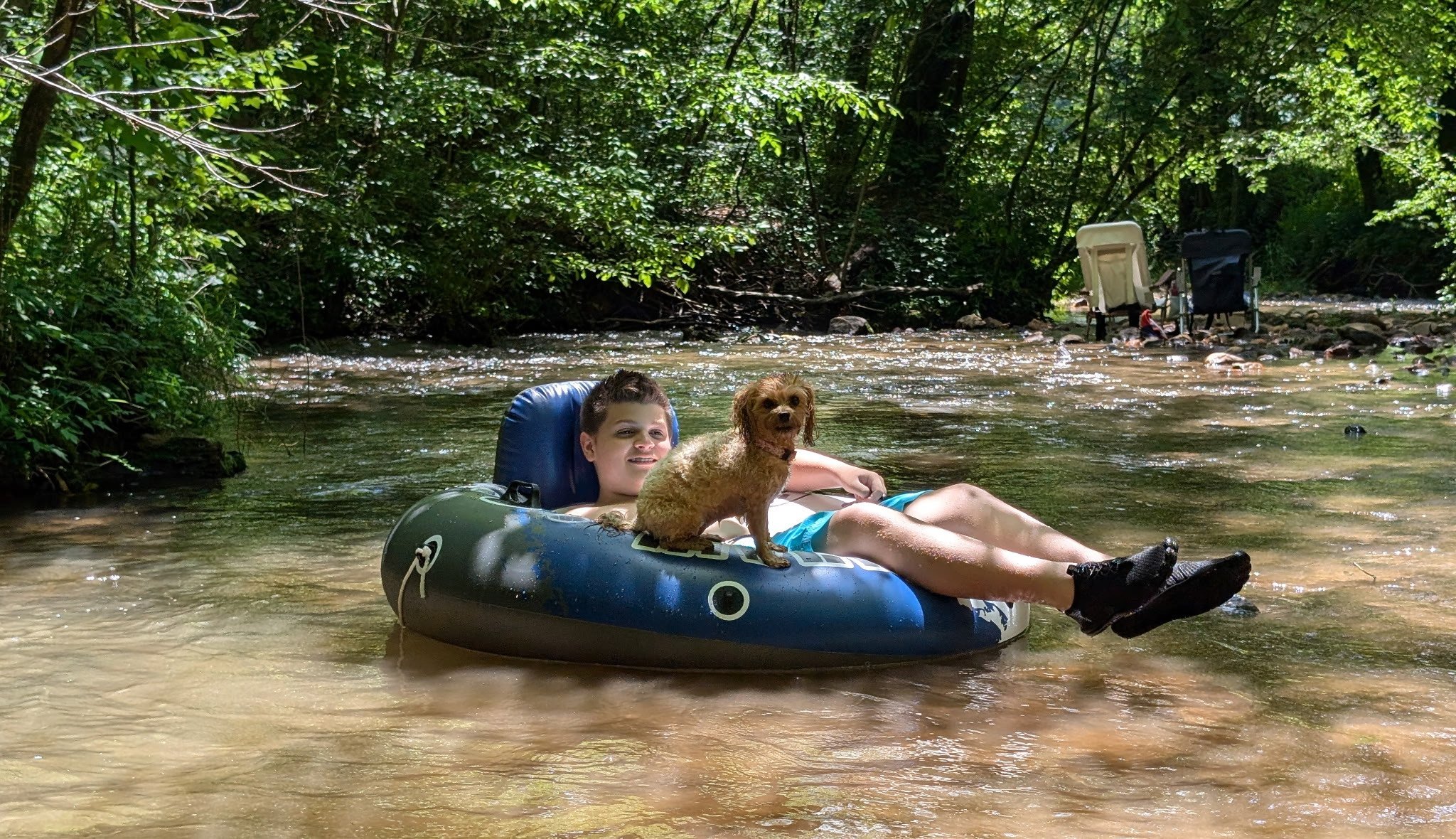 boy and his dogs float on a tube in the creek at this delightful North Georgia pet friendly cabin rental