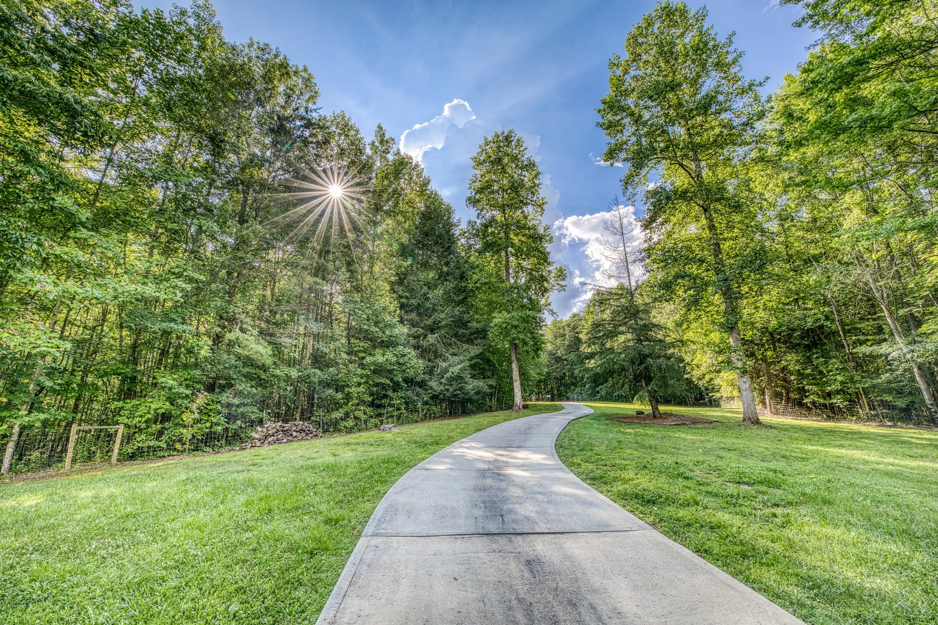 A winding concrete pathway leading through a lush green park with tall trees and sunlight filtering through the branches.