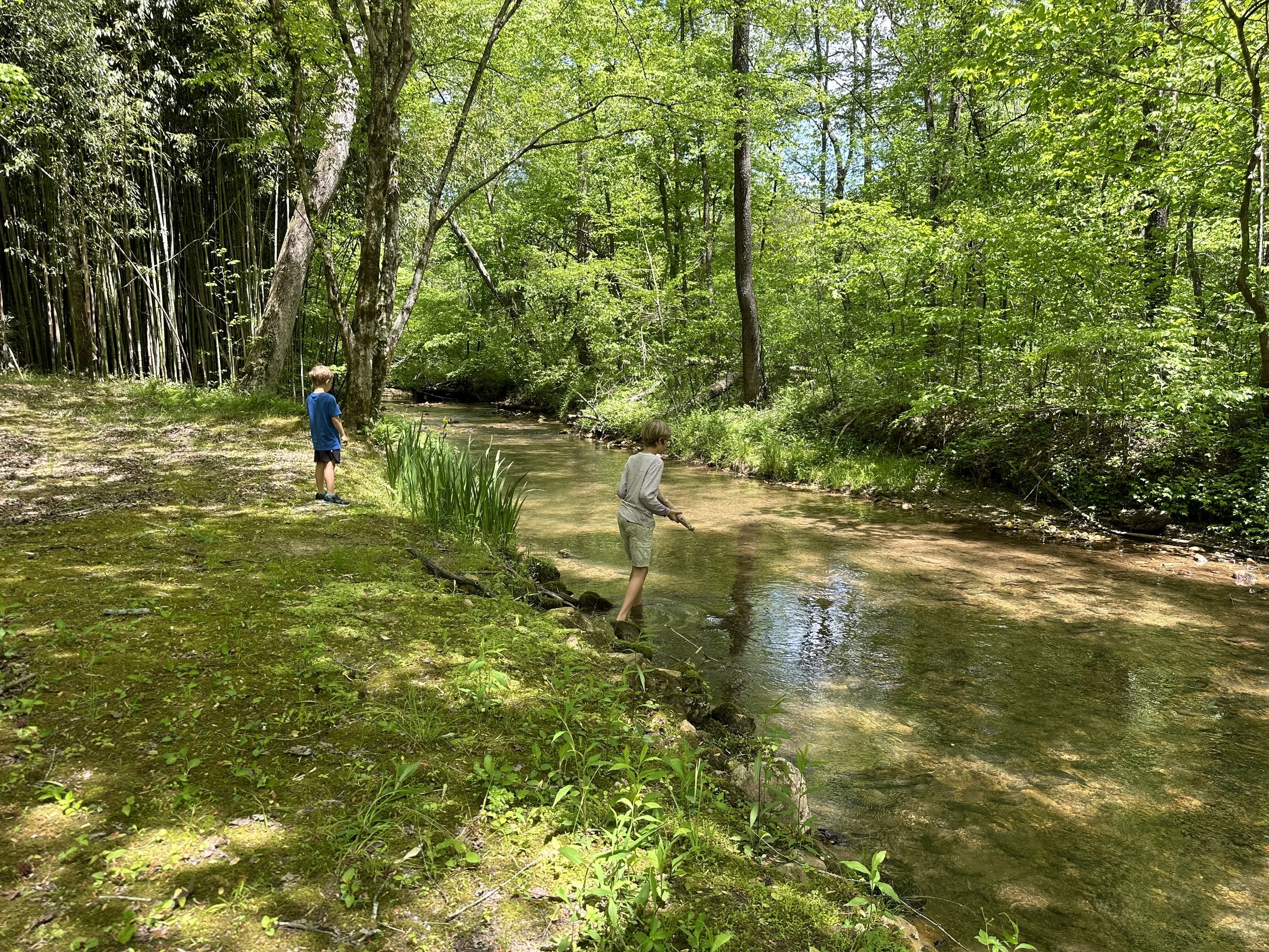 Private creek surrounded by lush forest, perfect for kids and dogs to splash, explore, and enjoy the natural beauty of the outdoors.