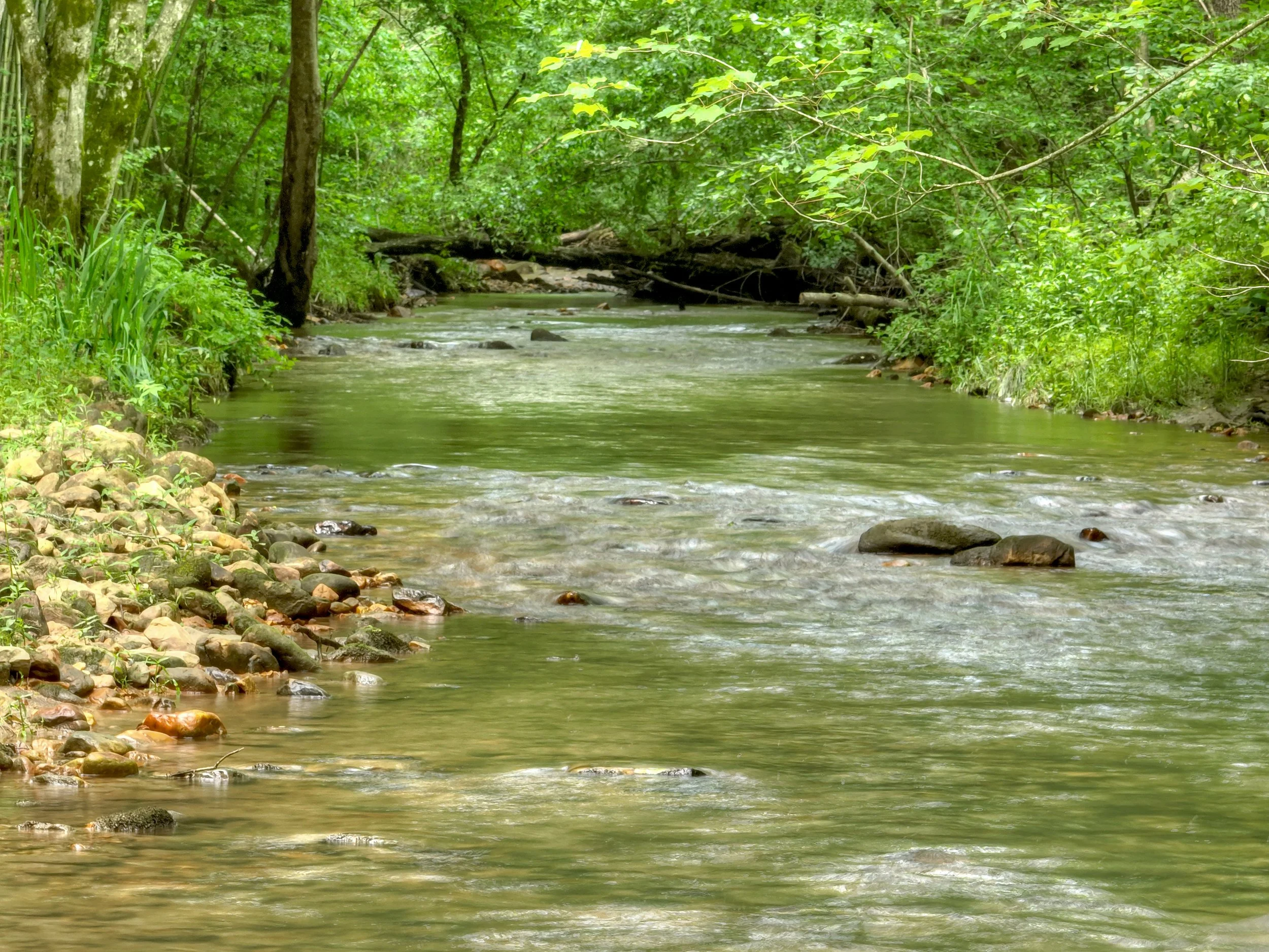 Tranquil private creek with crystal-clear water, surrounded by lush forest. A perfect spot for relaxing, exploring, or enjoying the soothing sounds of nature.
