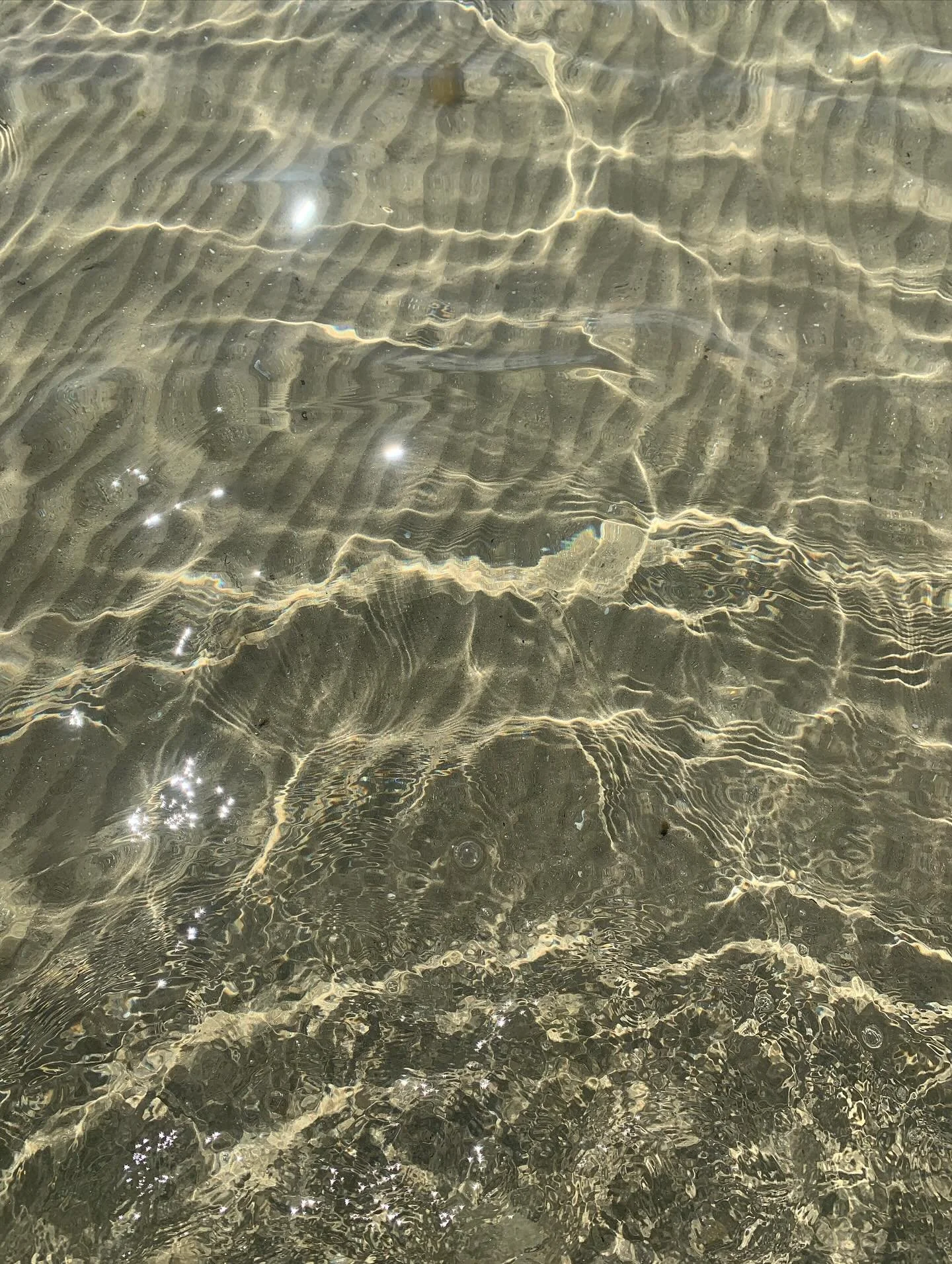 Instagram probably hates me.. and I'm totally okay with that. 

I have been very missing in action over here and everywhere really outside of the therapy room at @centre.self.collective and my family home. I have been giving my energy to what feels m