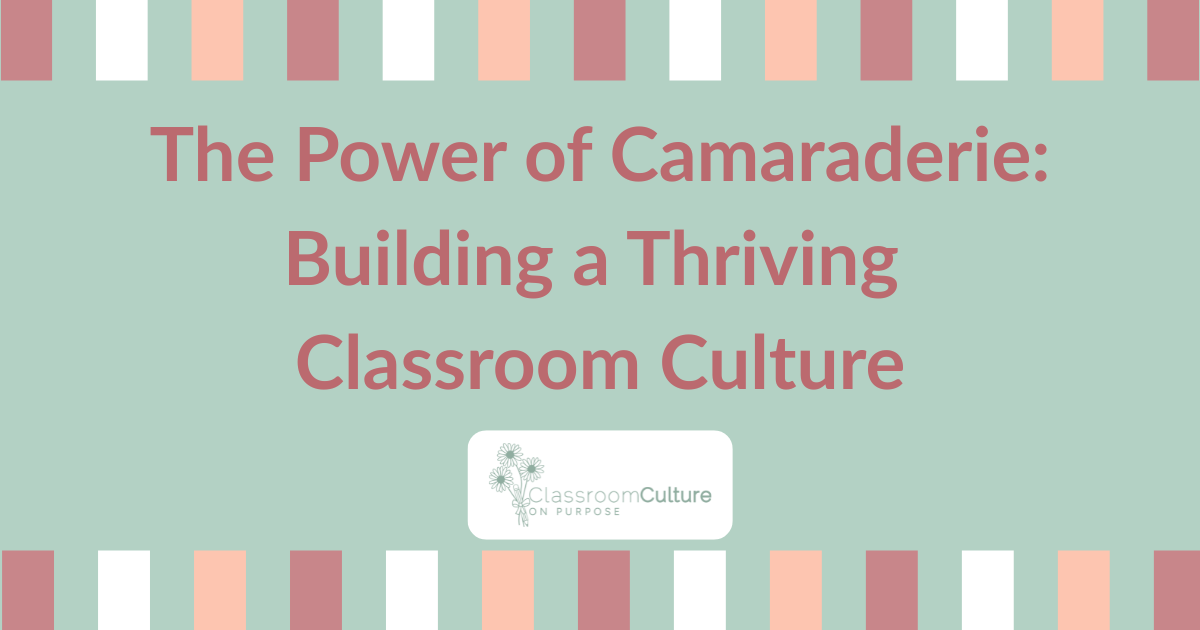 The Power of Camaraderie in the Classroom