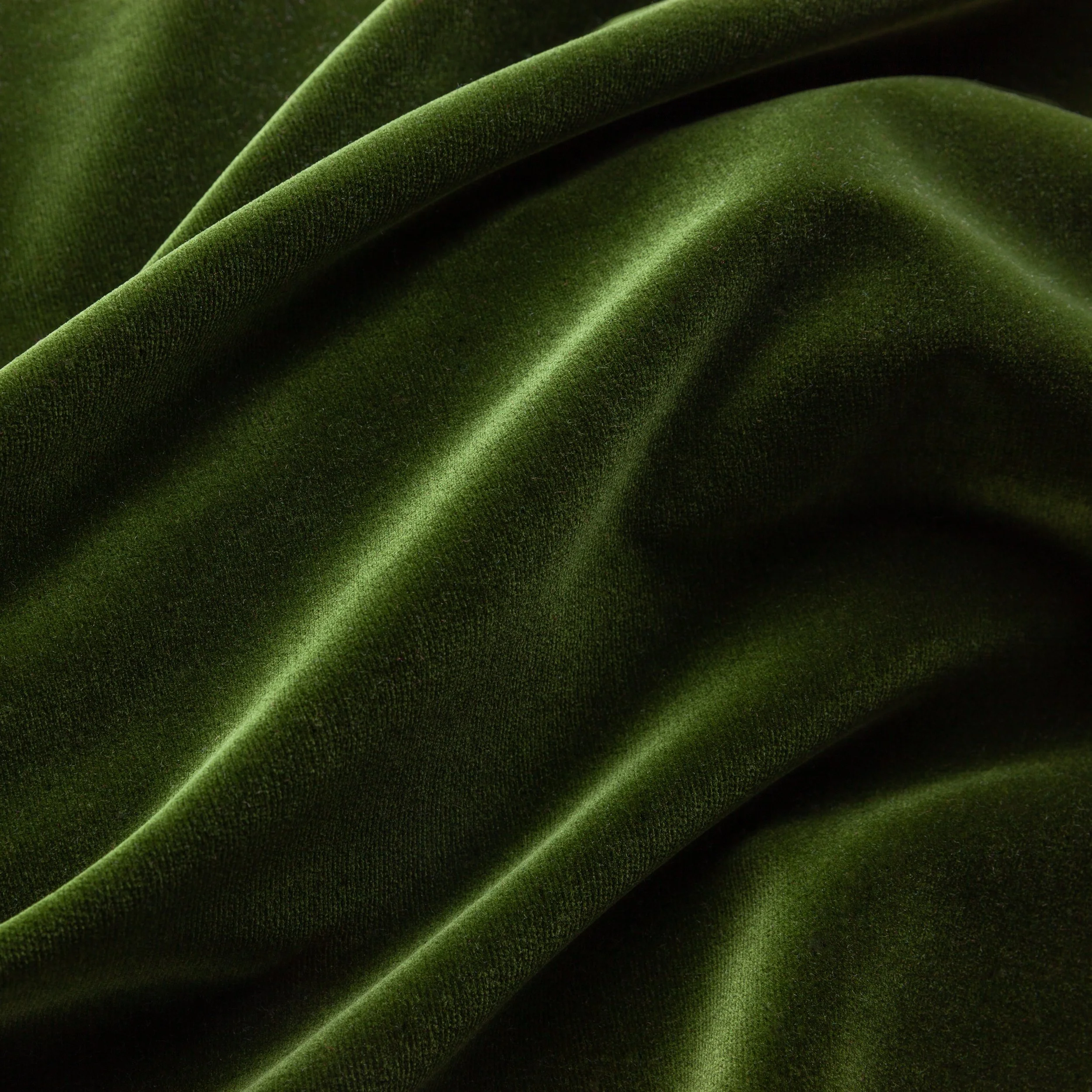 Moss_730_CottonVelvet_GS.jpg