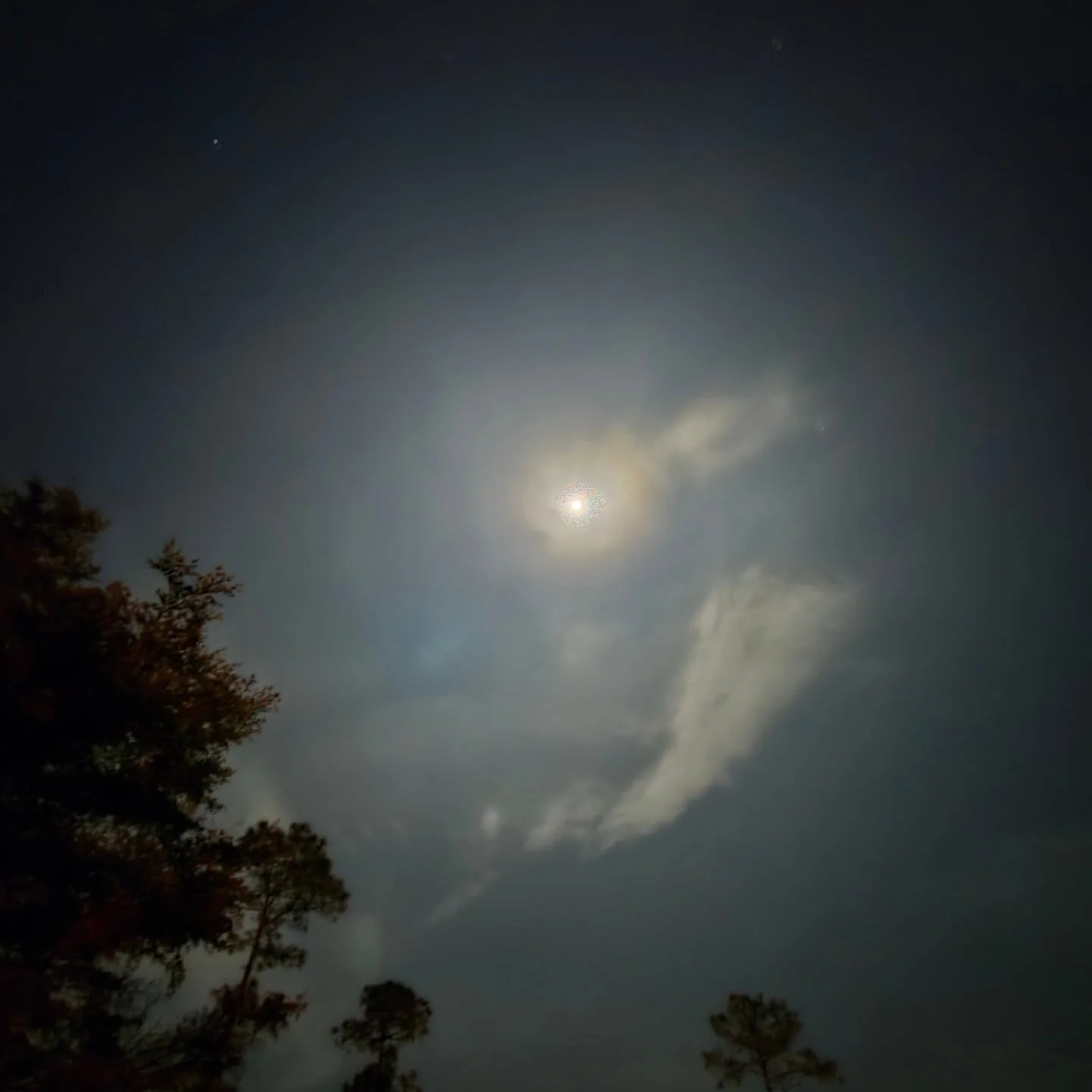 Full moon night lights 🌚

- first two pics were taken in just full moon light. The camera on my phone is 🤌🏻 #samsungultras24 
- nightstand crystals charging in the hammock I wanted to lay in, but is wet. Wasn't sure if I left them in the grass, if