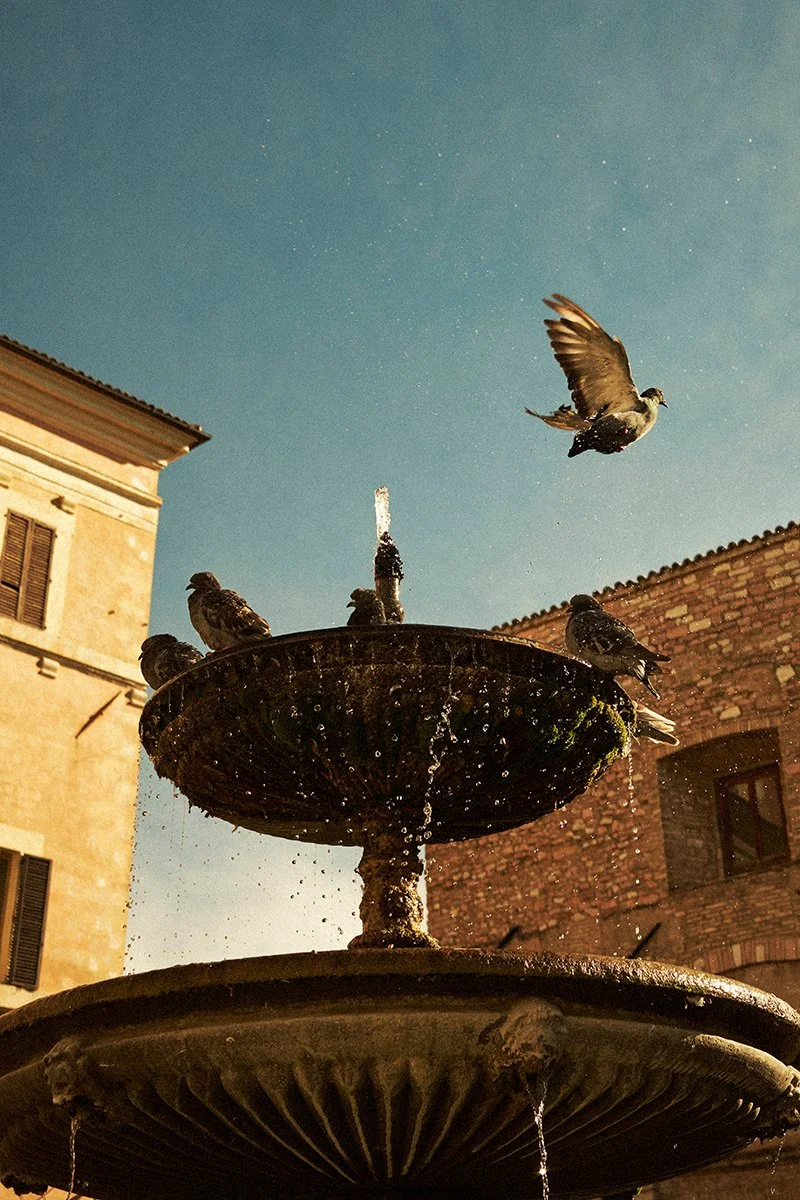 RenPidgeon_Lifestyle_066.jpg