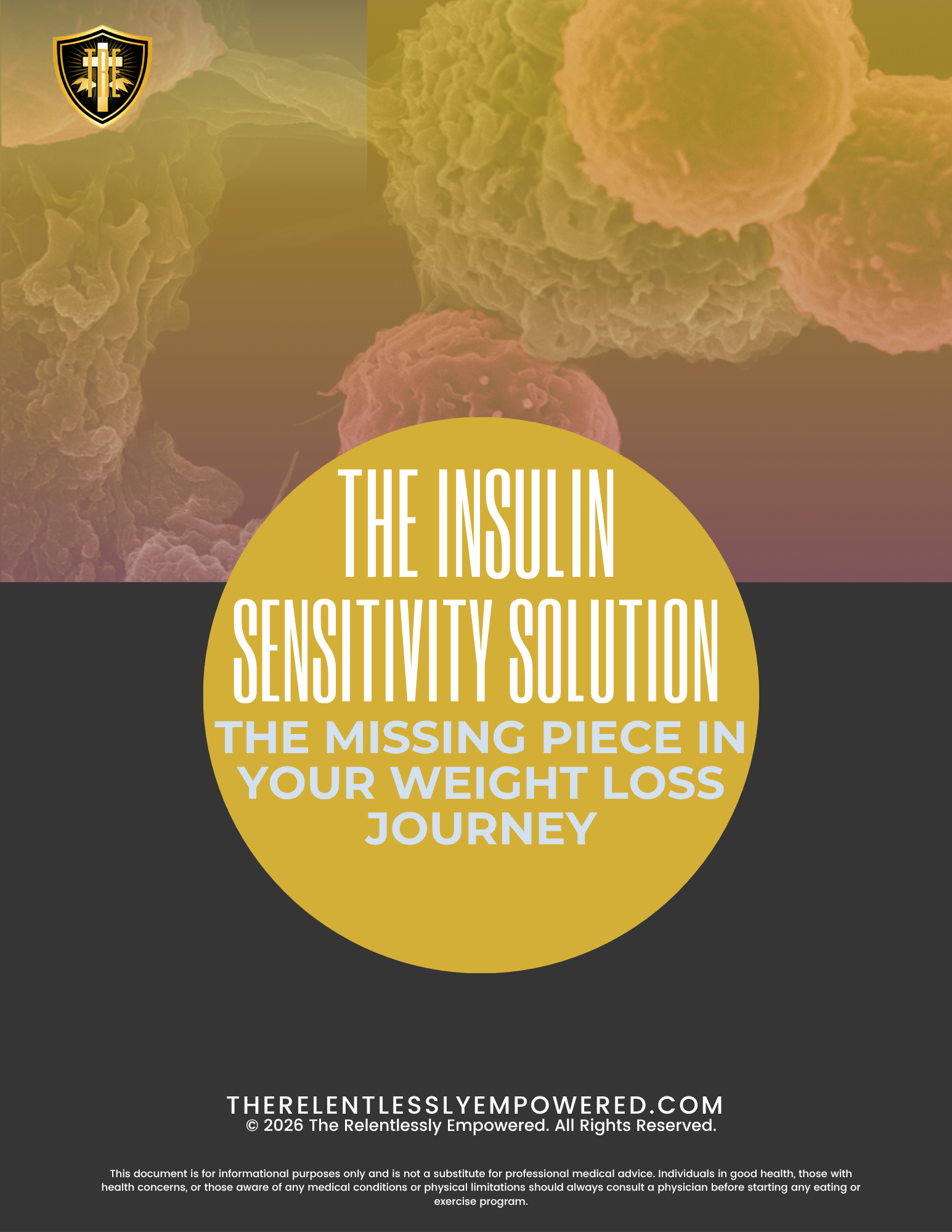 The Insulin Sensitivity Solution - The Missing Piece in Your Weight Loss Journey