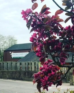 Beacon blast, in the bag!