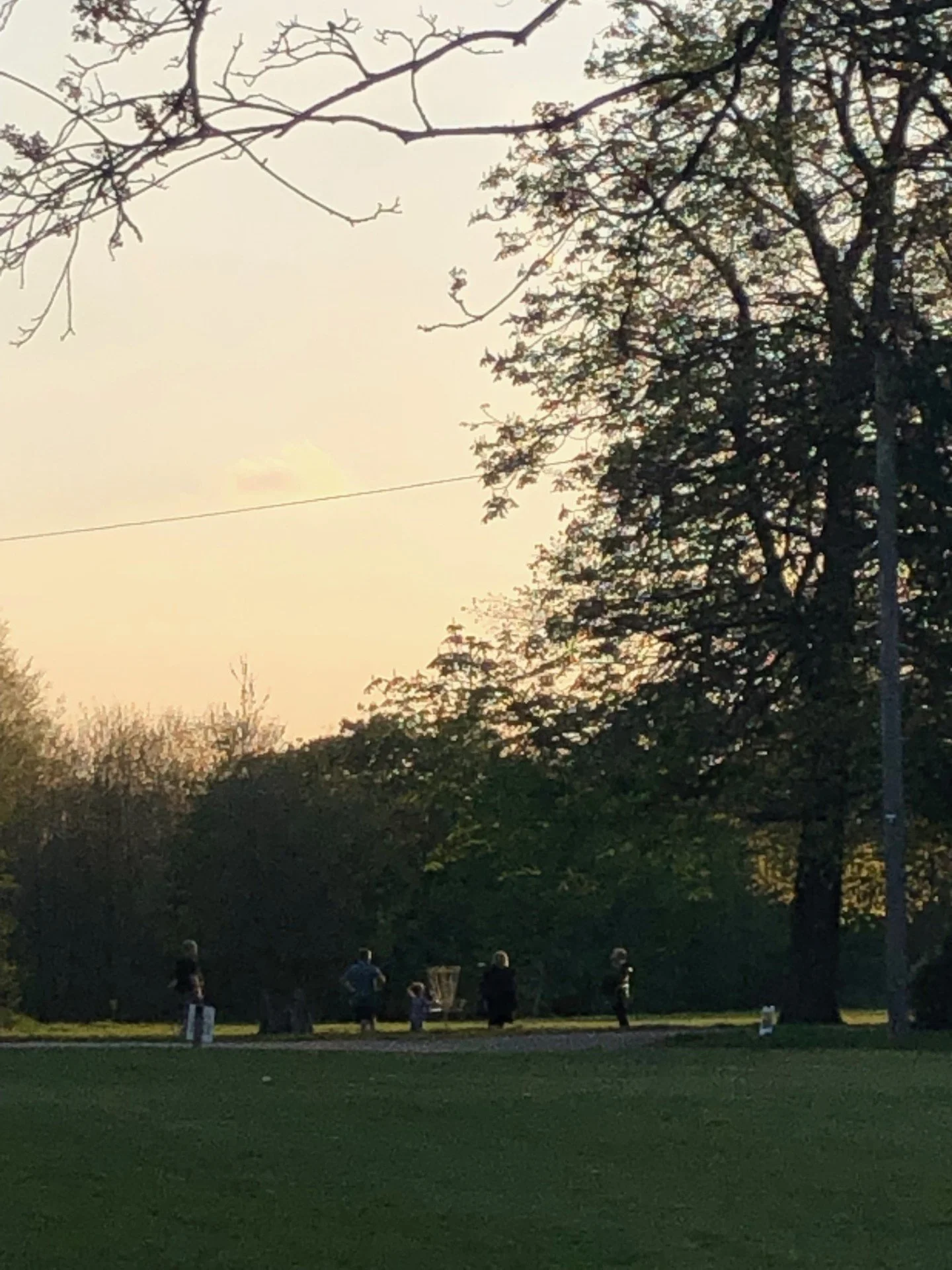 5 Mistakes Every New Disc Golfer Makes (and How to Fix Them)