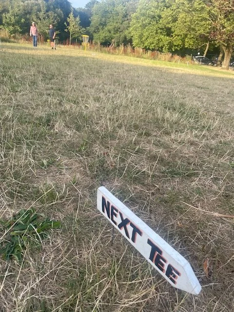 The Bowring chronicles Episode Five: The Case of the Missing Disc (That Was There All Along)