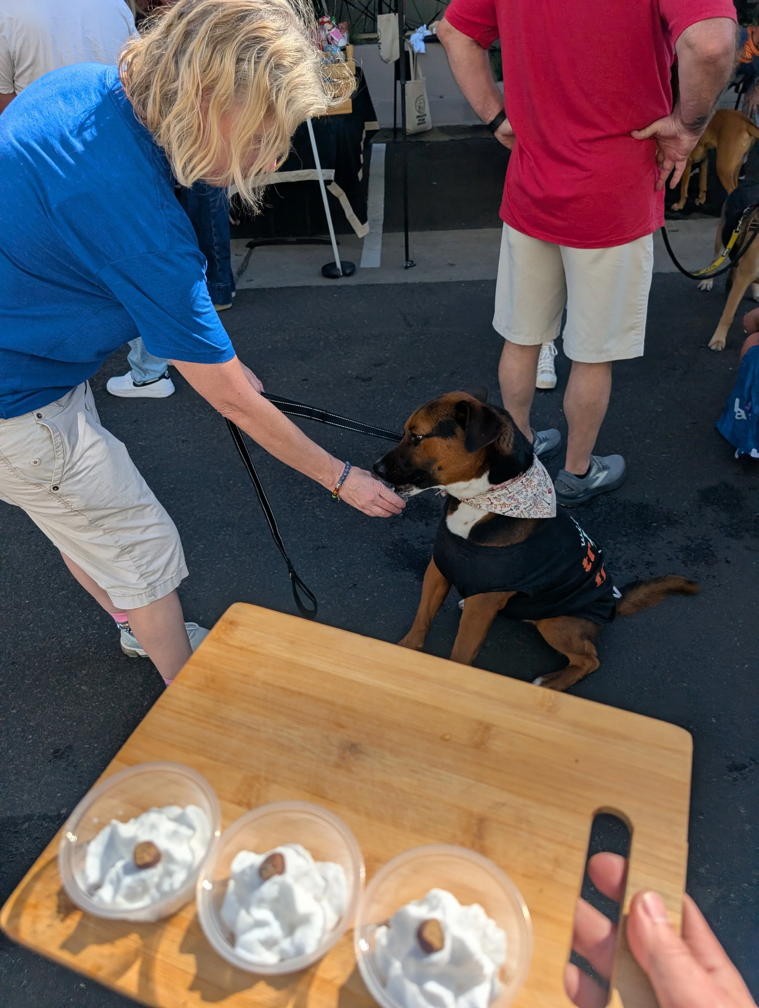 There's often a fun treat like these non-dairy pup cups.
