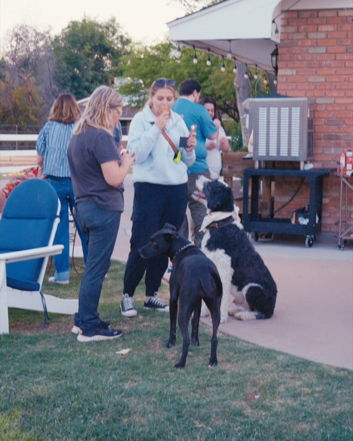 A couple of clips from our Dog Party over the weekend! We hope everyone can come to the next one!! Ice cream for friends and dogs!
