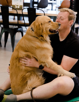 What Indoor Places or Events in Tempe Welcome Dogs?