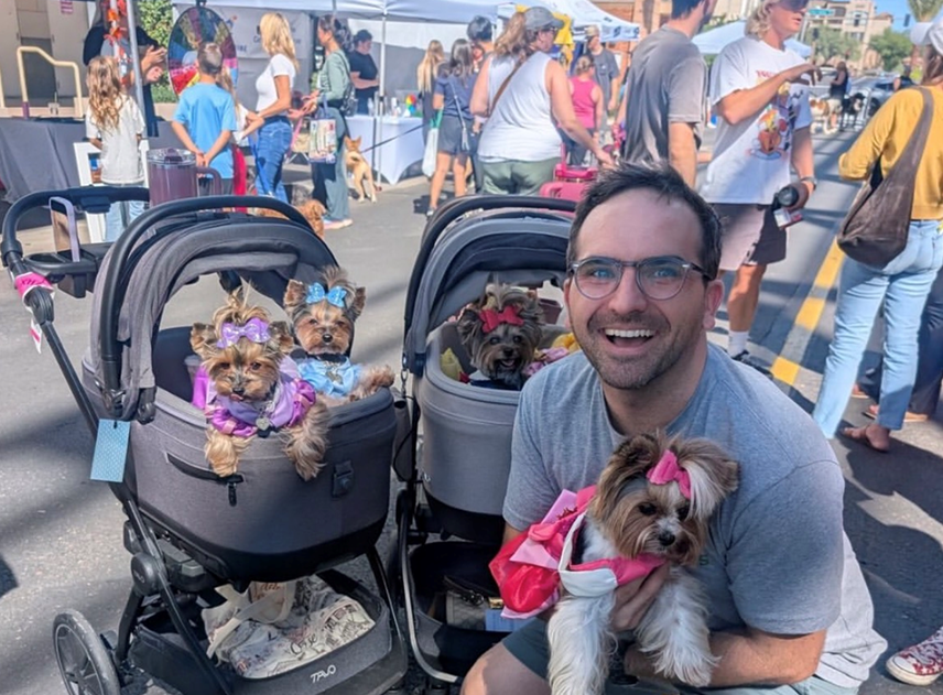 What Has All Dogs Been Up To?