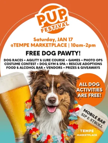 What Is the Best Indoor Dog Toy and Where Can I Test it Out?