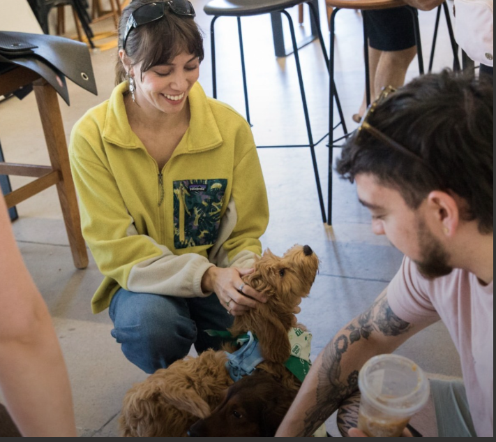 Is There a Substitute for Dog Daycare in Phoenix?