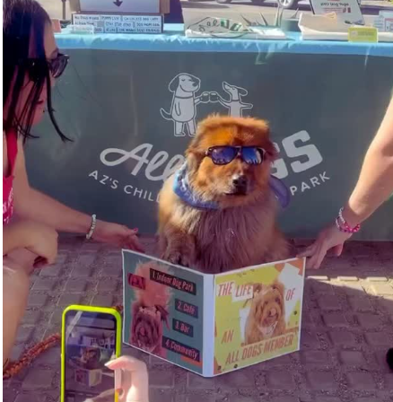 What Is the Average Annual Cost of Owning a Dog in Tempe &amp; Phoenix?