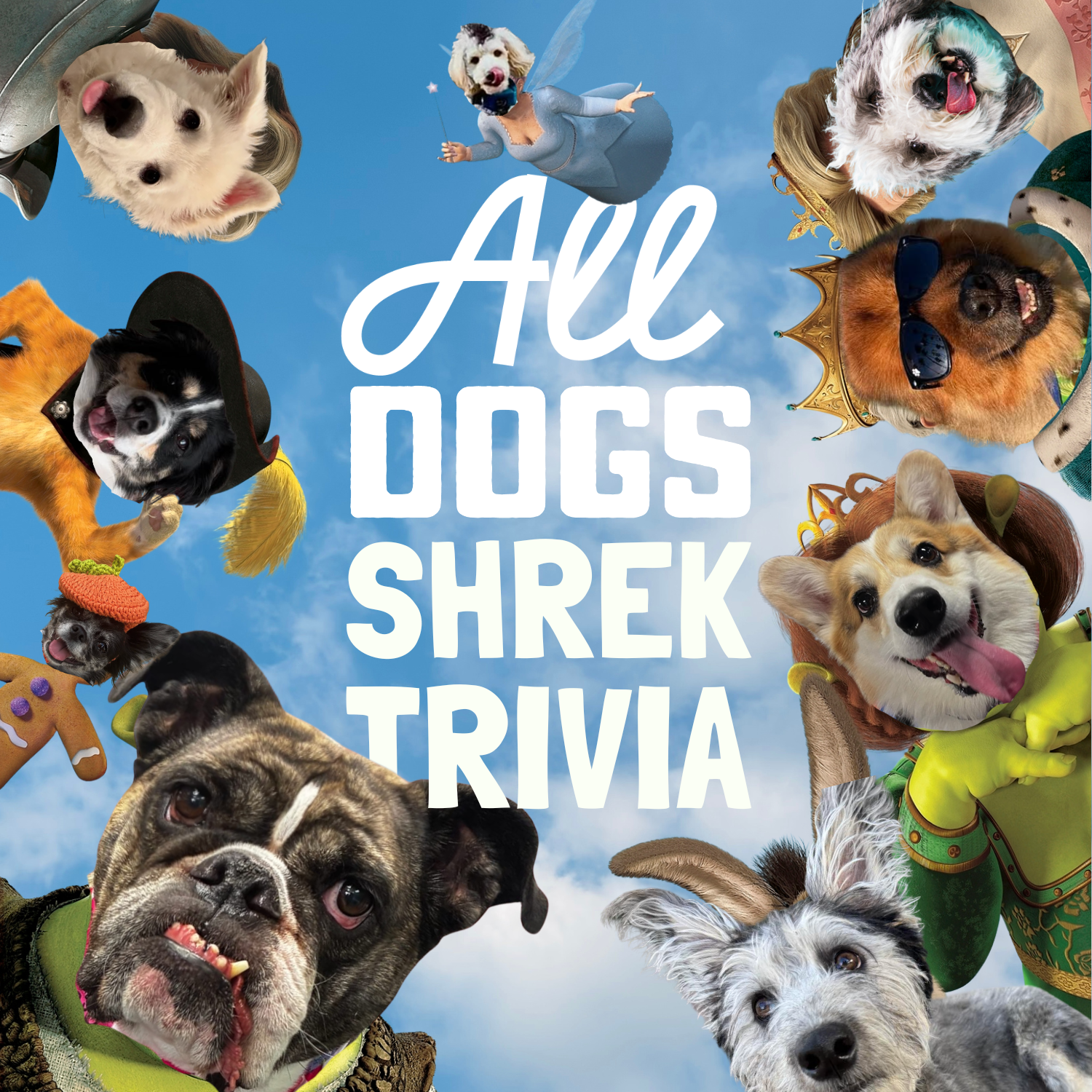 Shrek Trivia