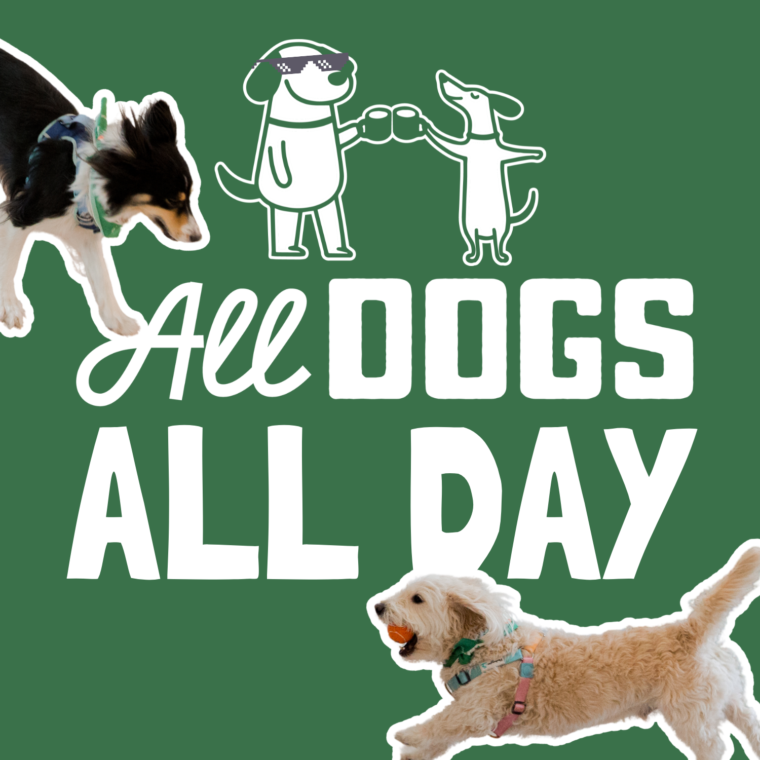 All Dogs All Day