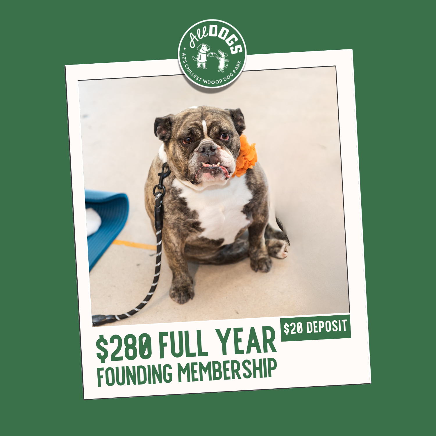 Founding Membership Tier 3 Annual