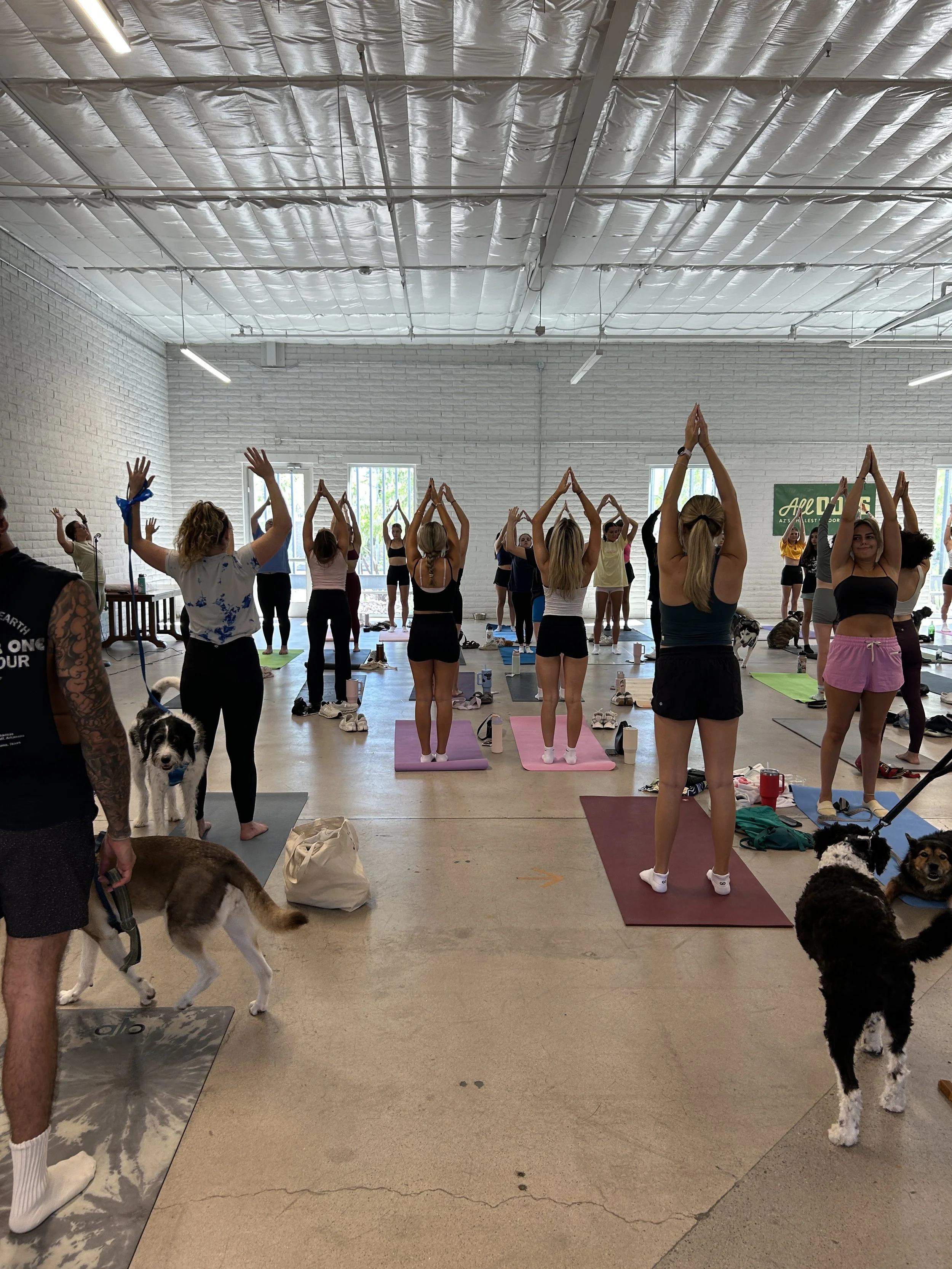 We're just about getting together, brining our dogs, and having a good time. It's really that simple. 