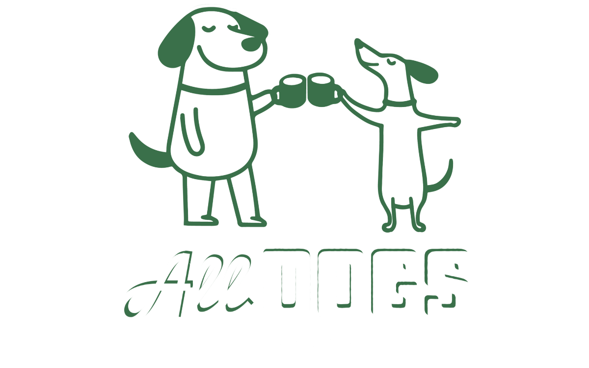 All Dogs AZ's Chillest Indoor dog park