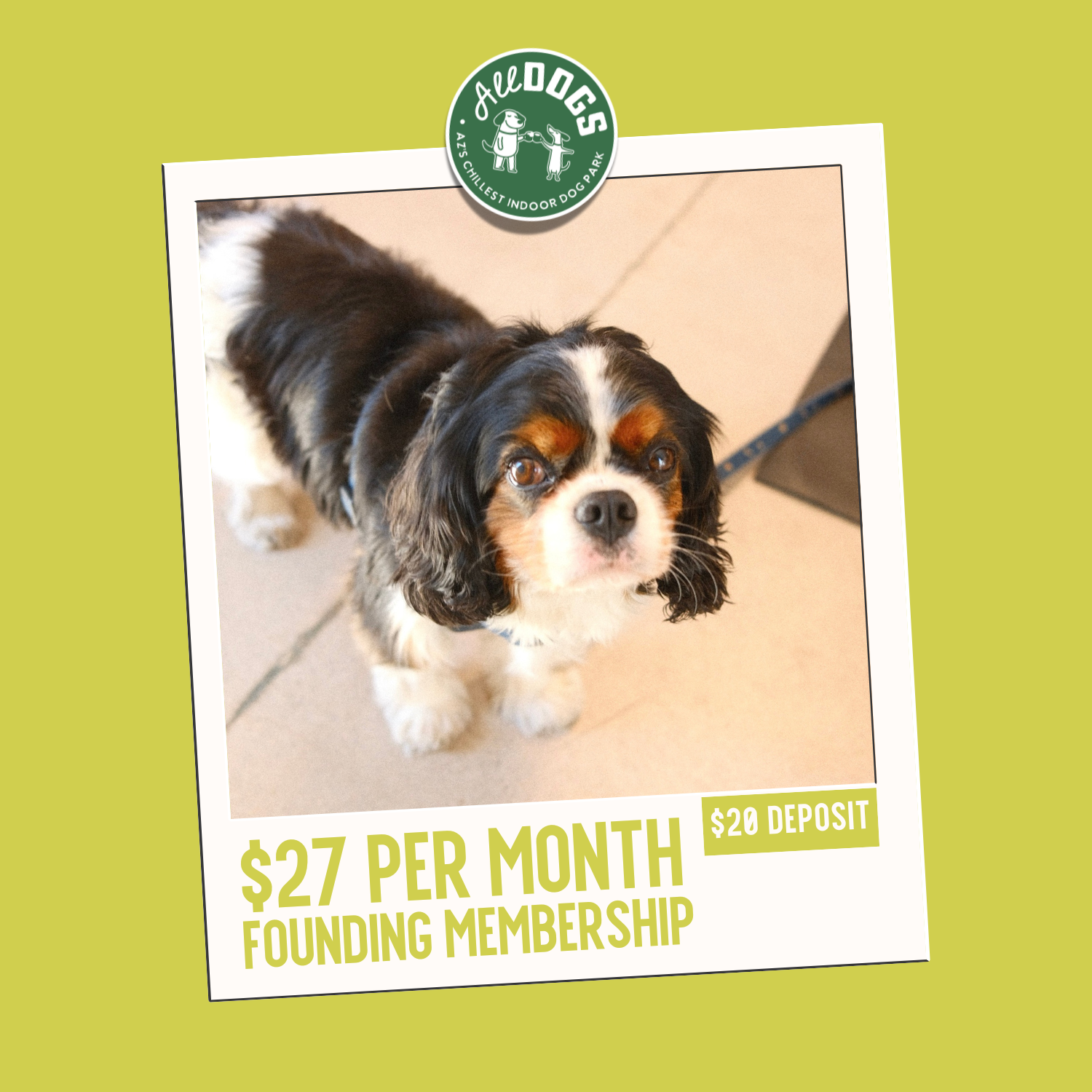 Founding Membership Tier 3 Monthly