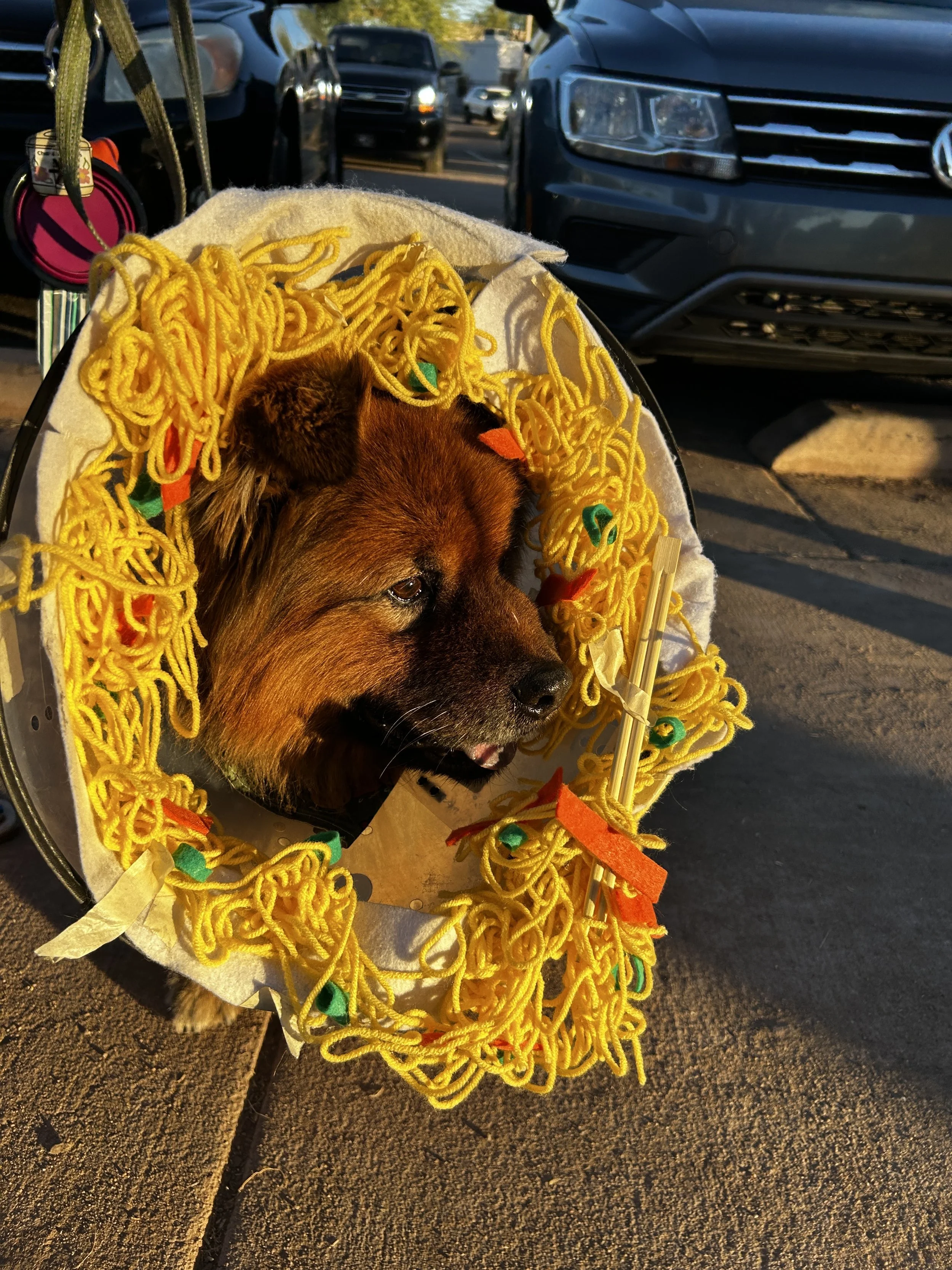 We do community walks when then weather is nice. We did one around Halloween and the dogs wore their costumes, it was so stinkin' cute. 