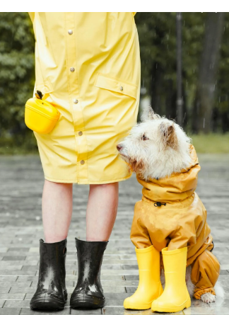 Dog owner standing next to her dog in the rain, both the dog and human are wearing matching rain jackets and rain boots