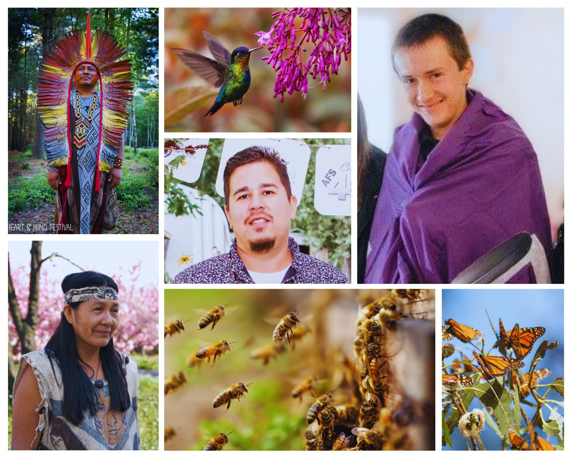 Pollinator Life | A round Table with Indigenous Leaders