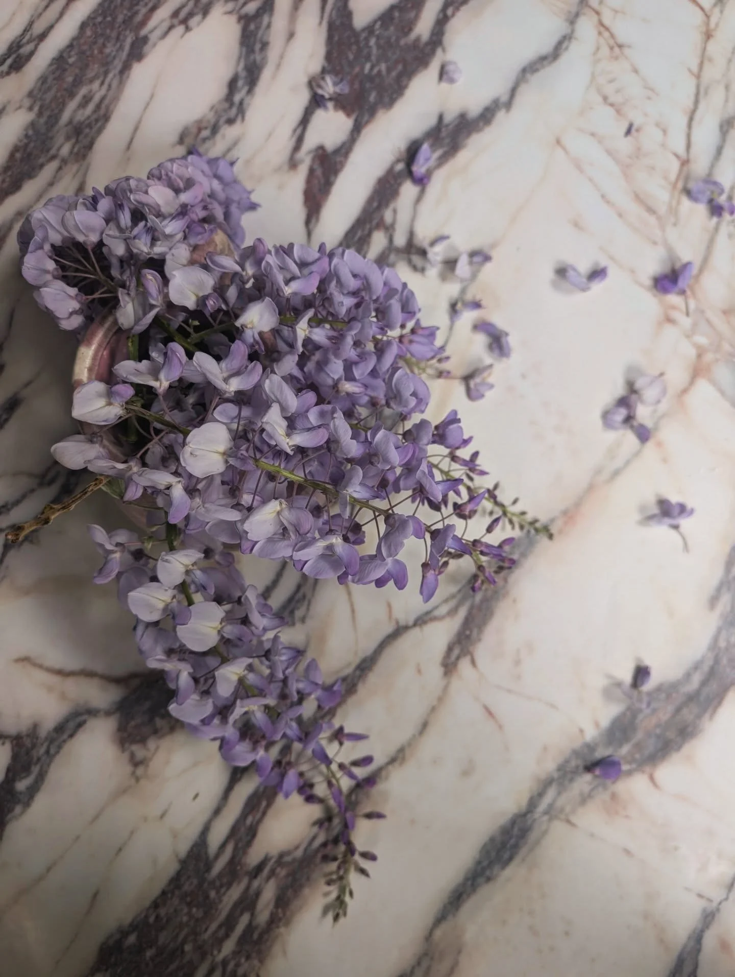 When wisteria hysteria takes over. Luckily my @designandrefineinteriors business partner and lovely pal Jen has enough to share to make my house look bloomin beautiful.