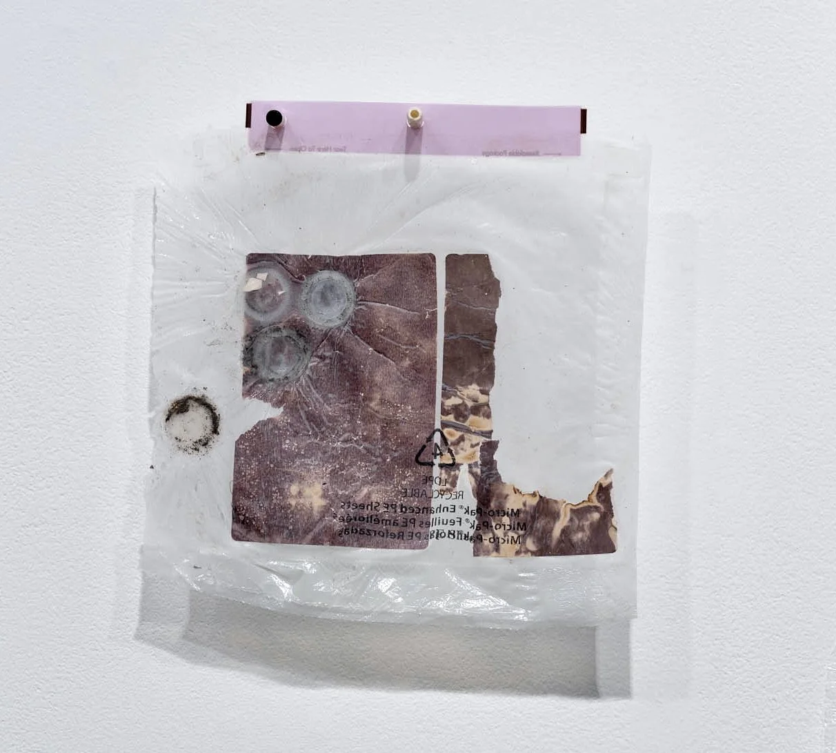 Proof_14_GFX1264 copy (1).jpeg