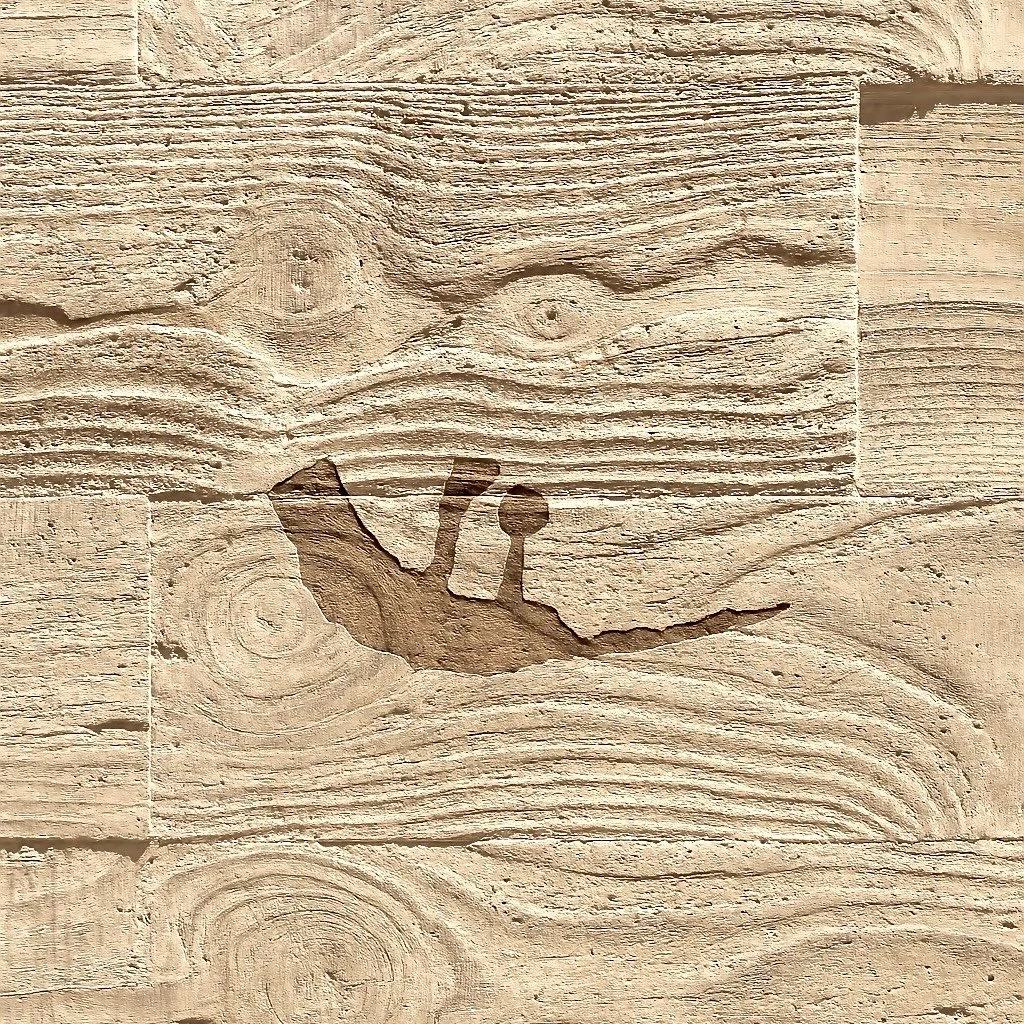 MEDEZA is the ancient word of the Baja&rsquo;s first voice &mdash; Peric&uacute; &mdash; for the Palo Blanco, a native acacia tree that inhales the silence of the desert and exhales its essence into the wind.