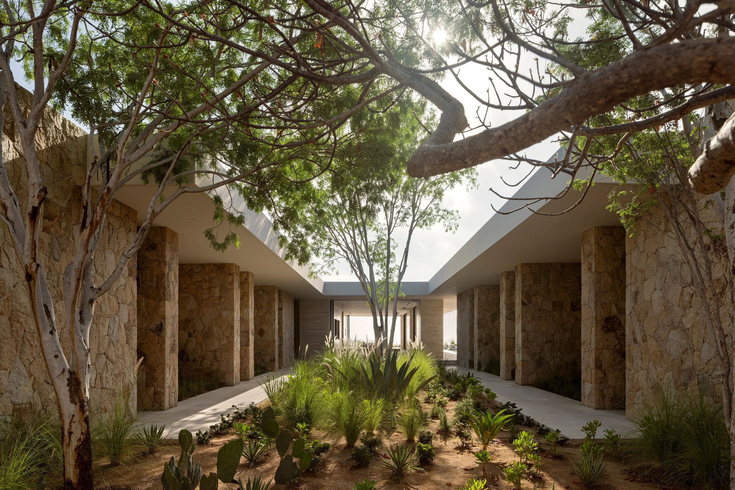 CASA LA VISTA | 2025 | QUERENCIA | SAN JOSE DEL CABO 