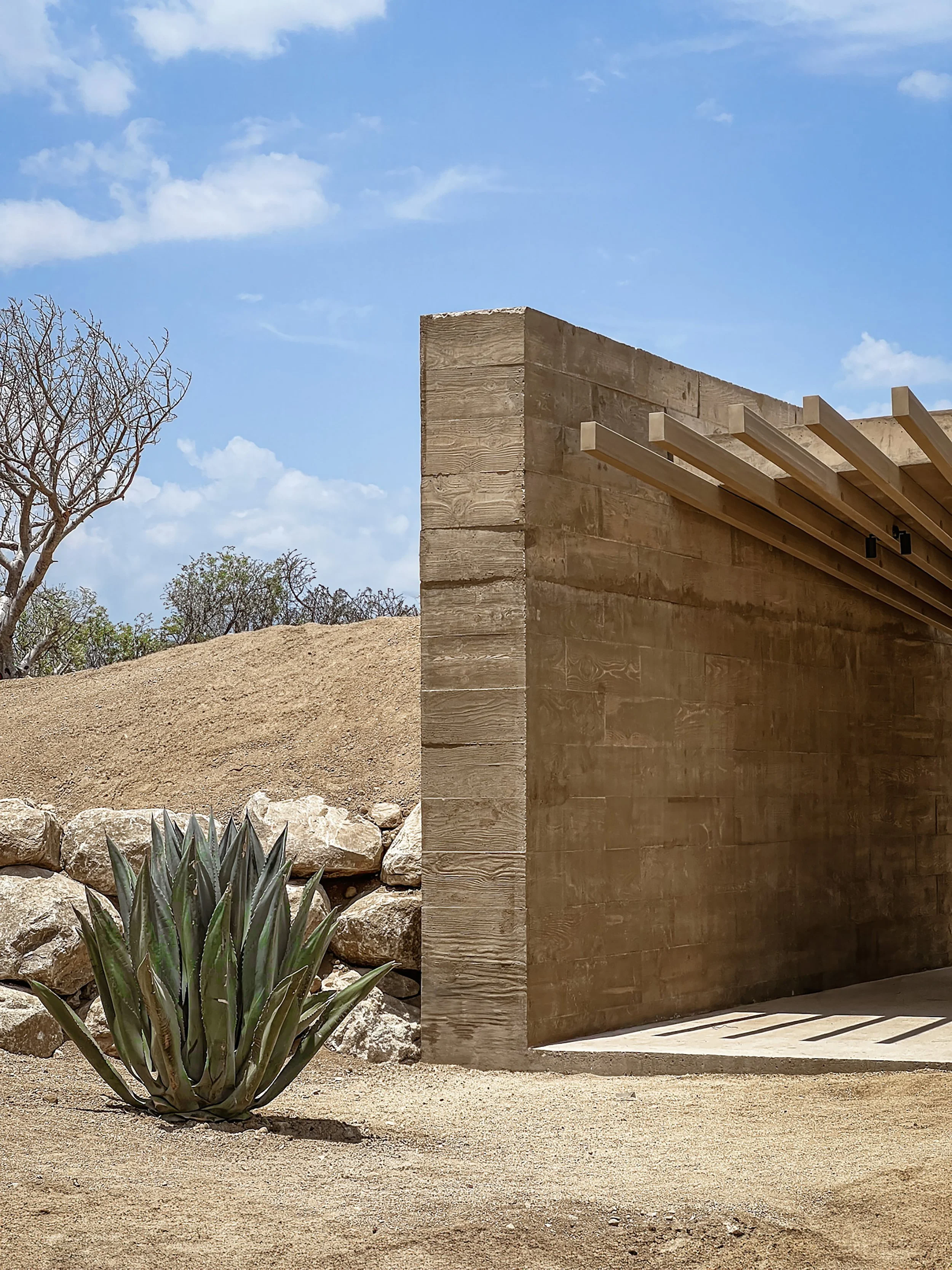 2 CANYON ENTRANCE FRANCISCO PARRA.jpg