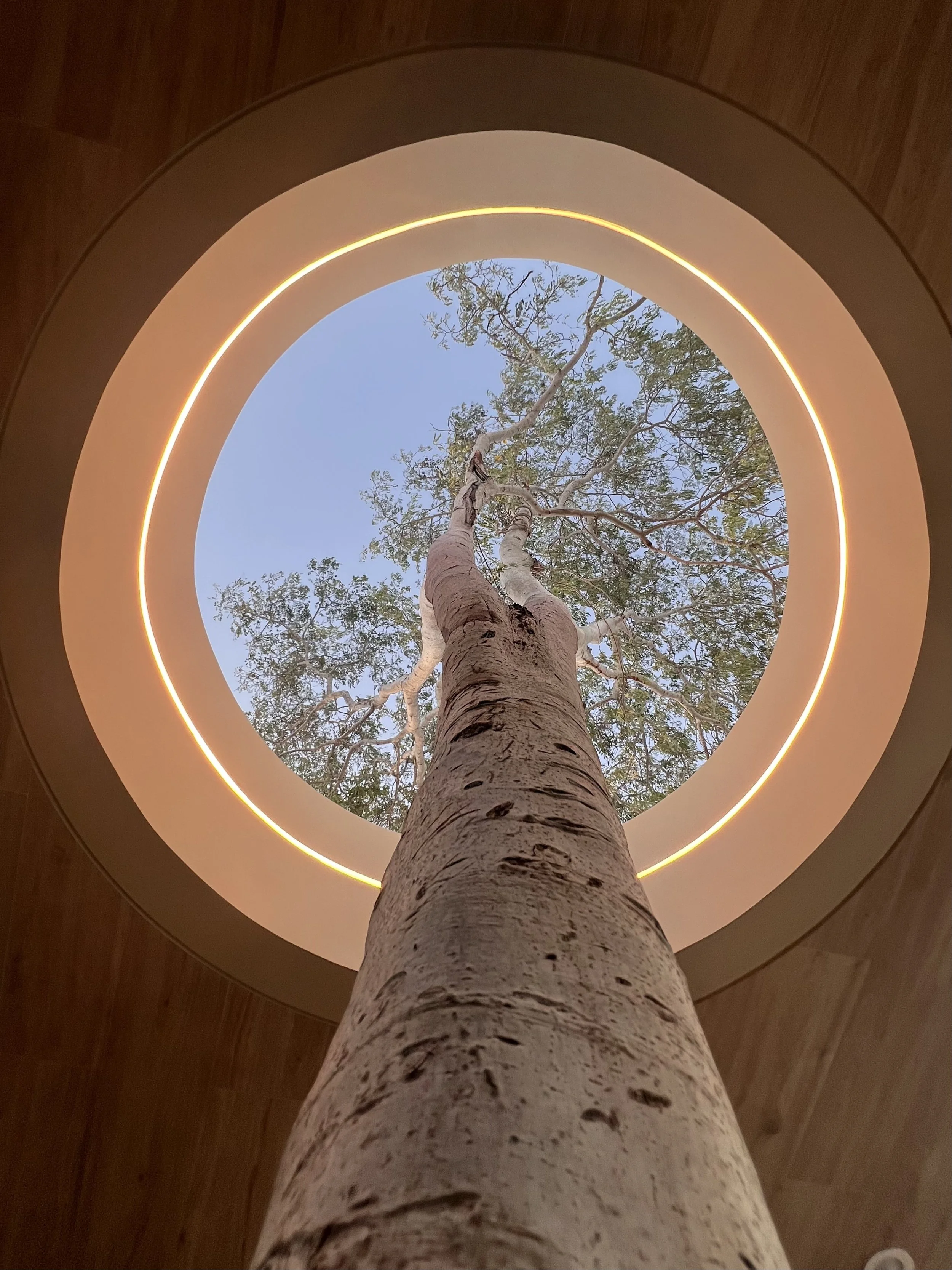 CANYON MODULE SKYLIGHT