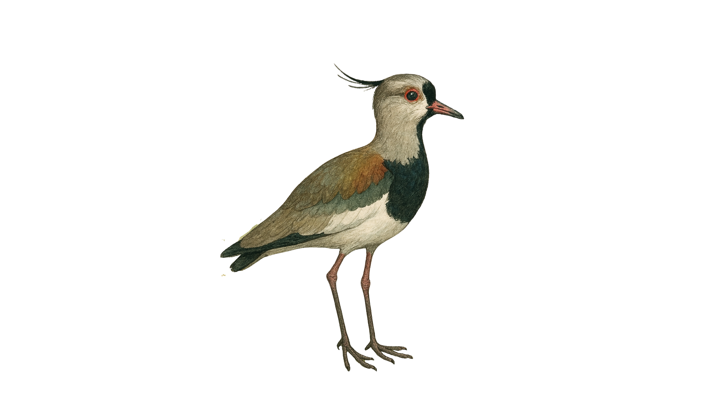 Online Uruguayan Spanish Lessons | Native Teachers from Uruguay