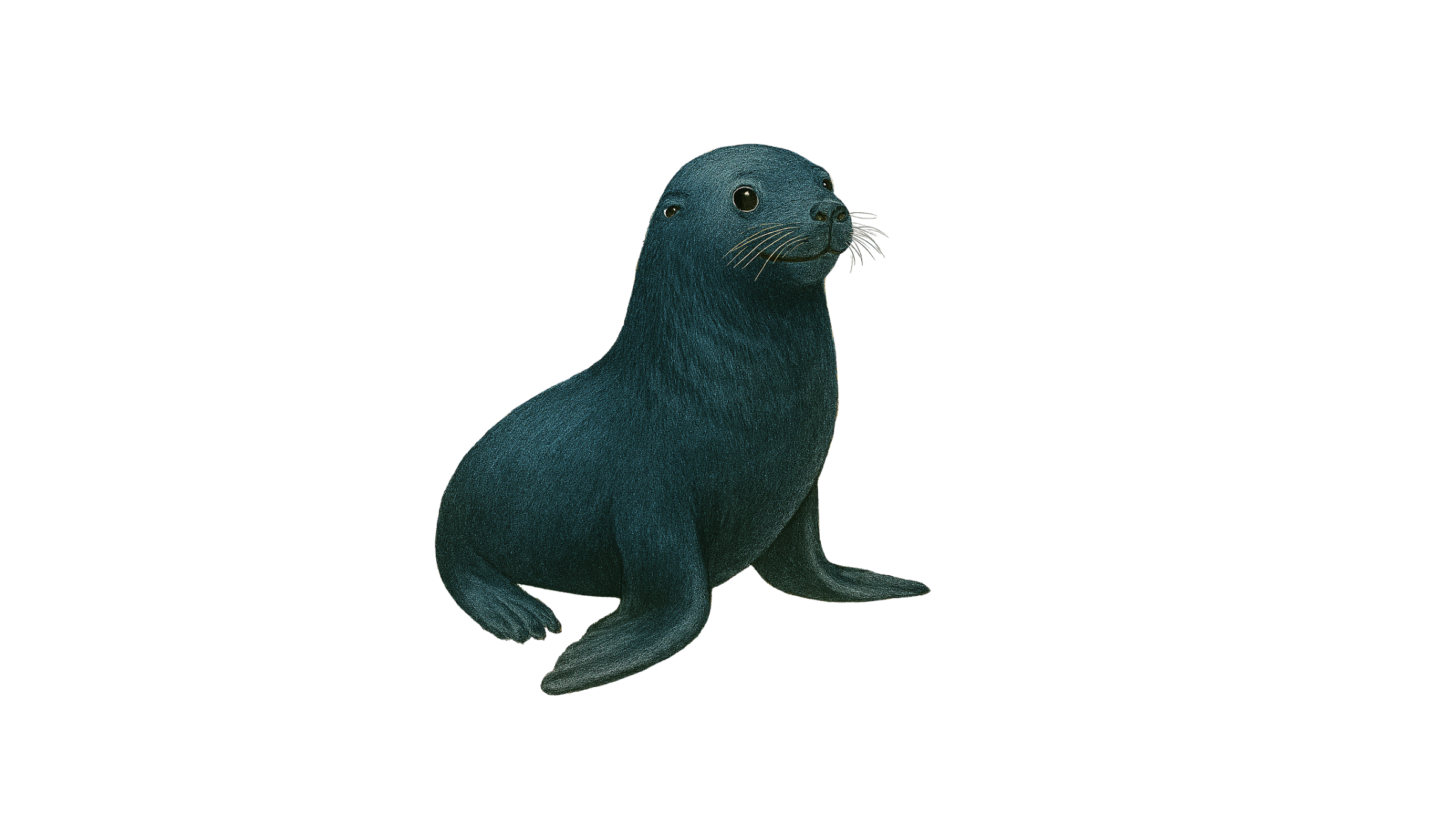 Online Uruguayan Spanish Lessons | Native Teachers from Uruguay