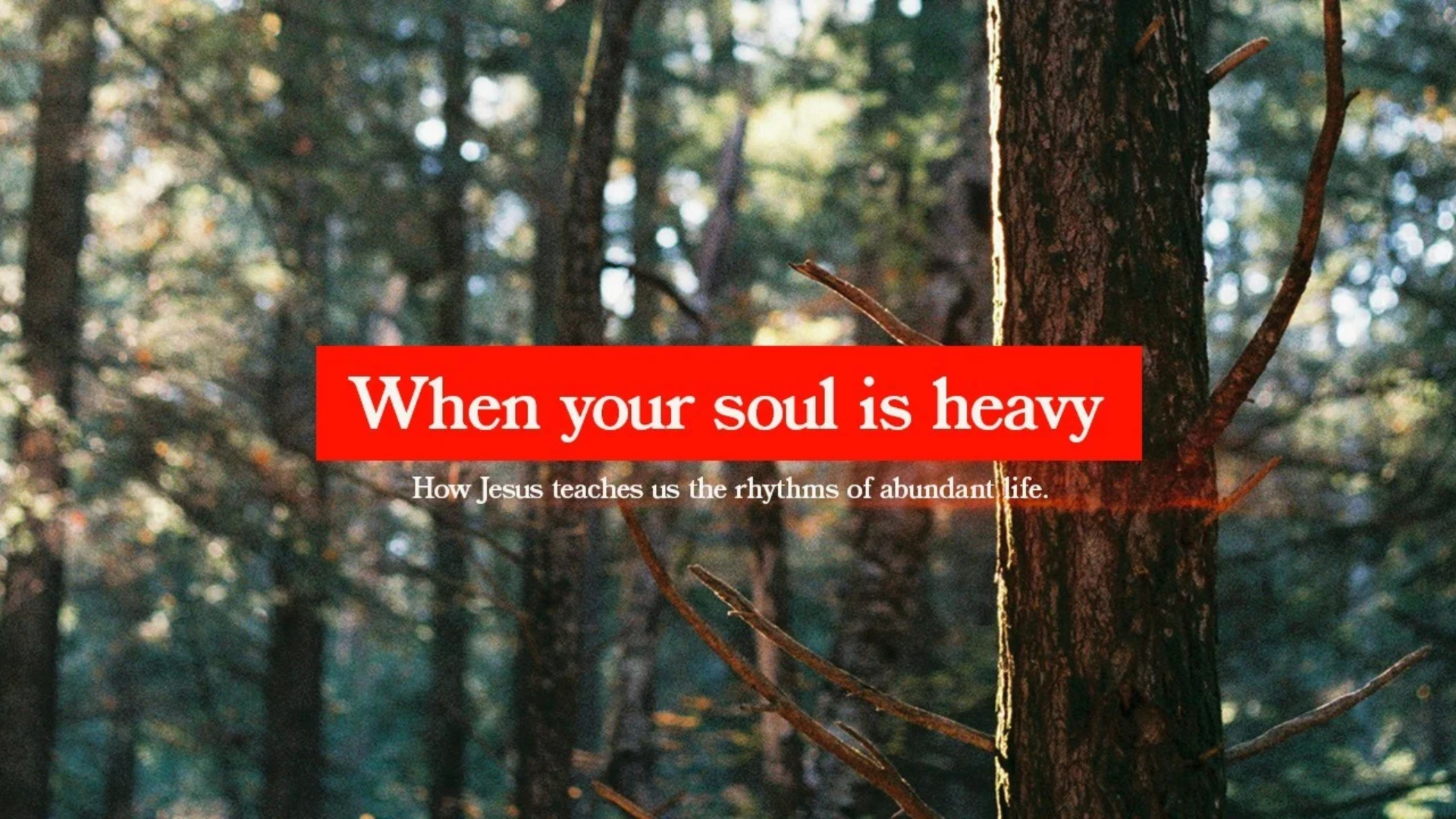 When Your Soul Is Heavy | How Jesus Teaches Us the Rhythms of Abundant Life