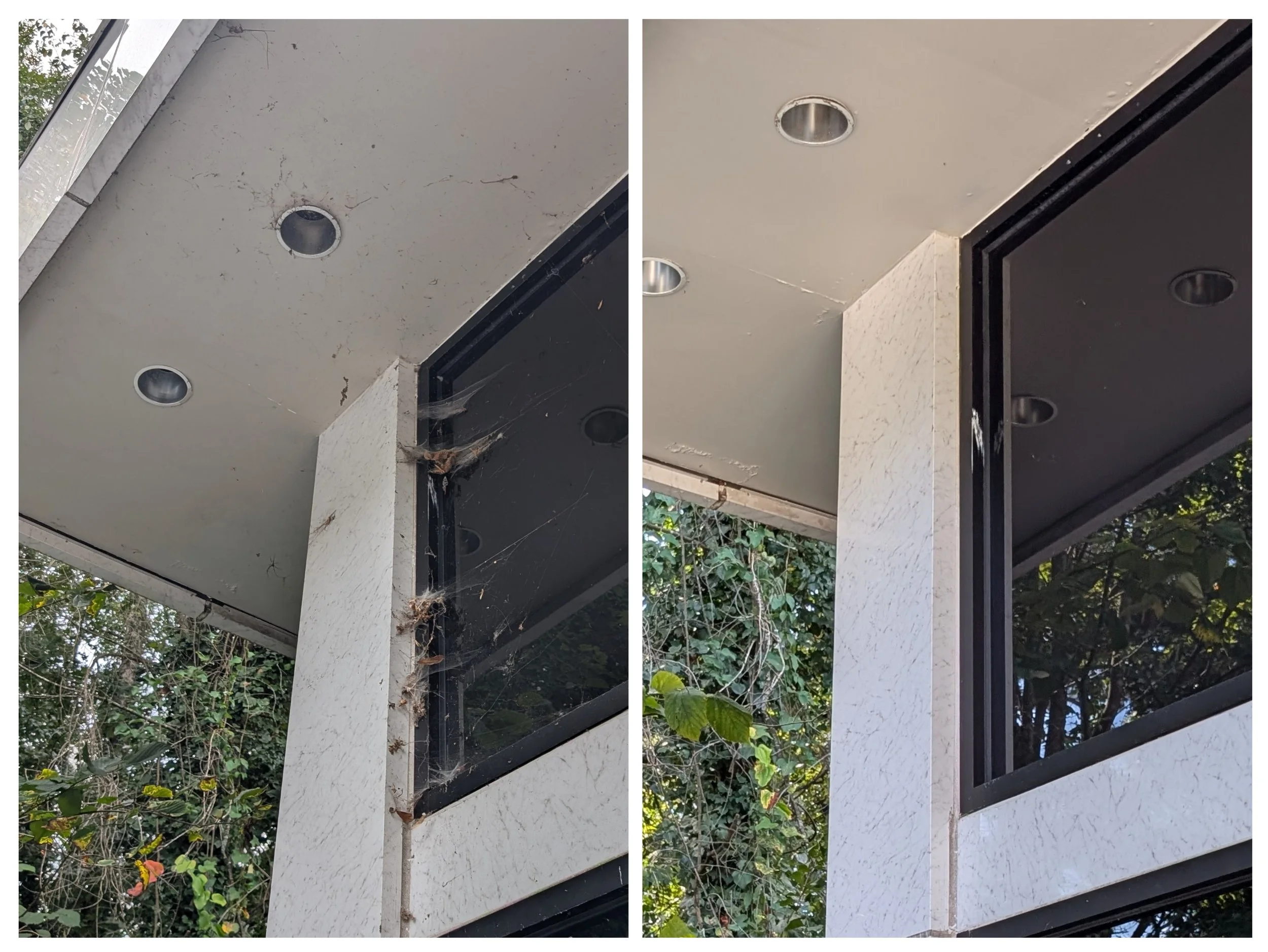 Commercial soft wash window washing