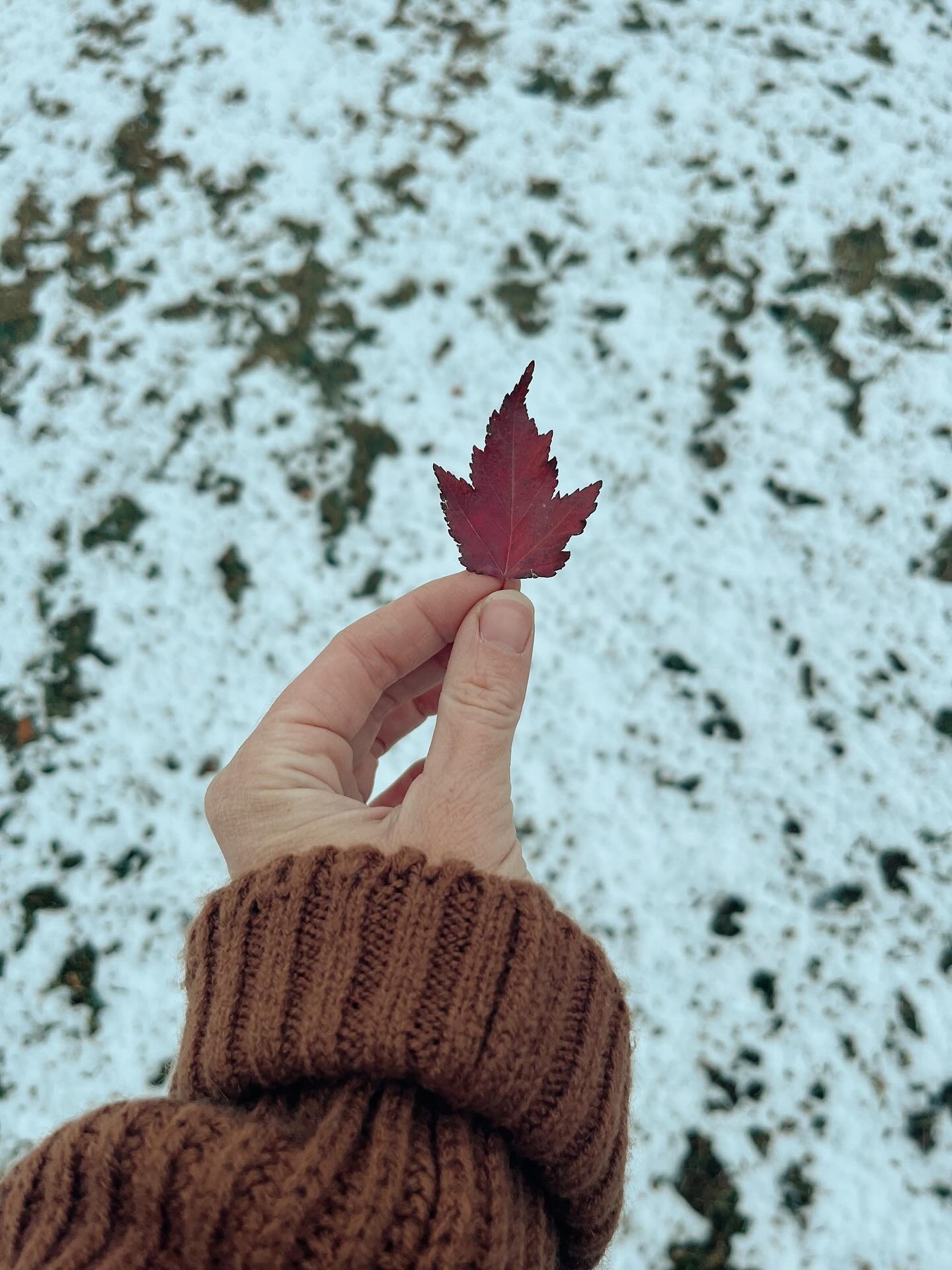 Happy Thanksgiving from the Little White Rooster fam! 

Although it&rsquo;s a chilly and snowy day, I&rsquo;m thankful for all of the beautiful people that I get to spend it with. 

What are you thankful for? 

#happythanksgivng #prairielife #littlew