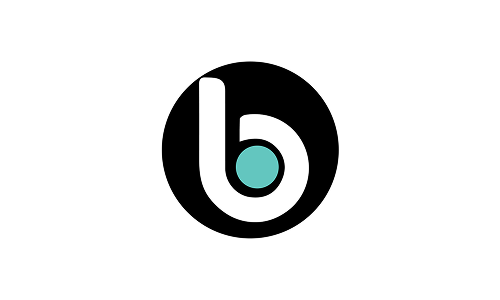 Partner logo - Bizcise.png