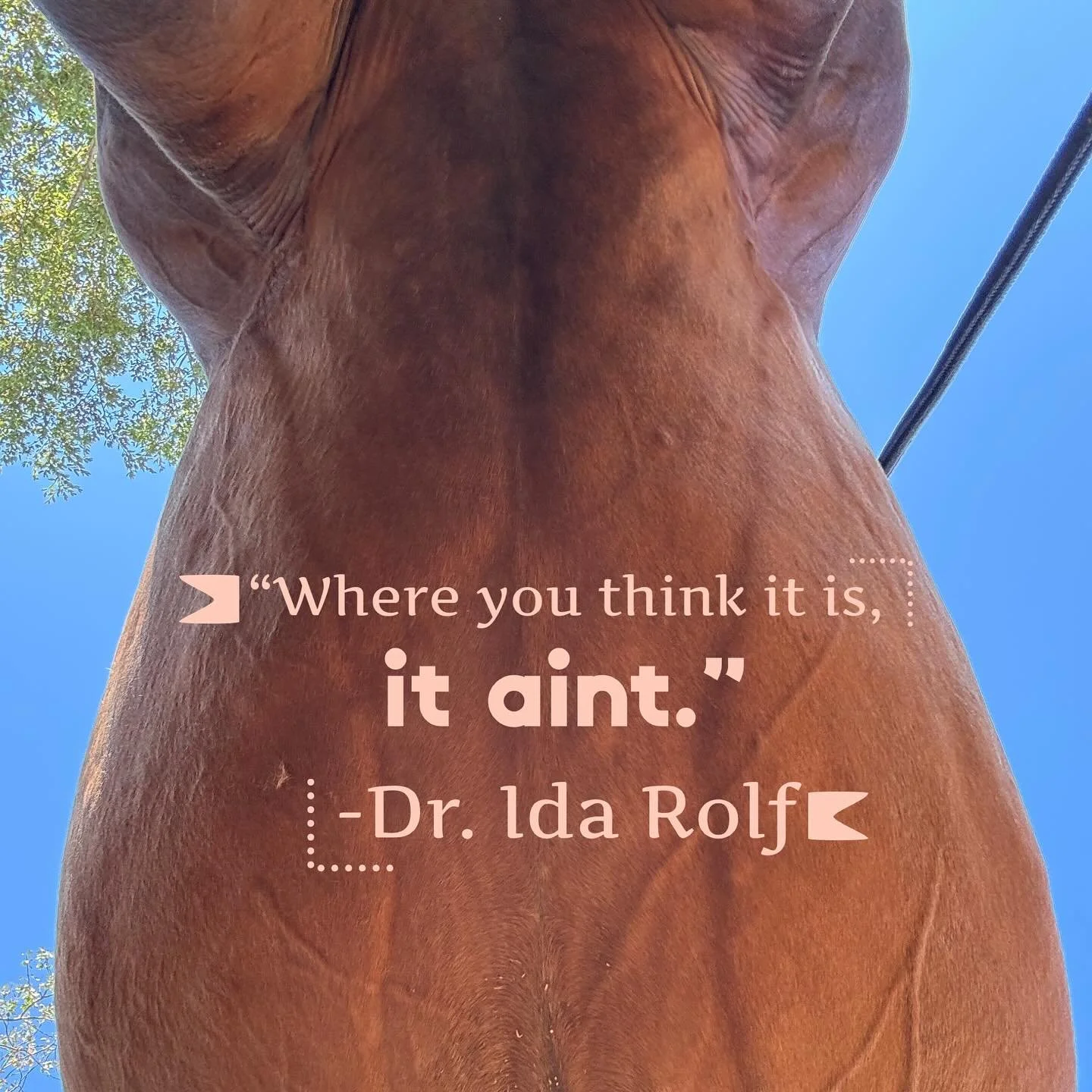 This is one of my favorite quotes from Structural Integration founder  Dr. Ida Rolf. It reminds us to always maintain an exploratory mindset.  The body is skilled at presenting one issue that is often a satellite to another.  Keep searching, keep exp