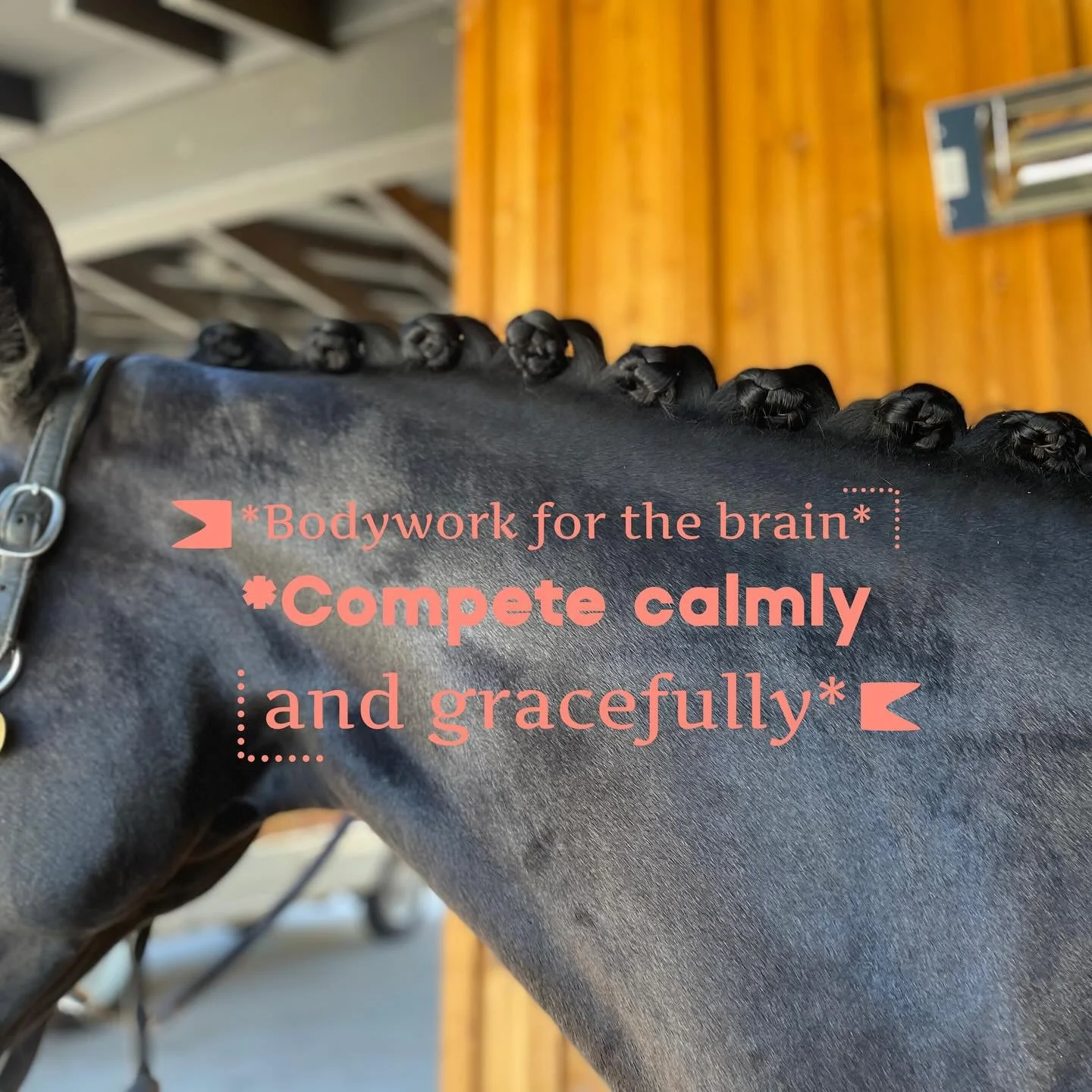 As competition seasons come to an end, fall is a great time to explore your equine partner&rsquo;s body and untangle aspects that not only hold him back physically but also mentally. When the body feels capable, the mind can calmly focus and collabor