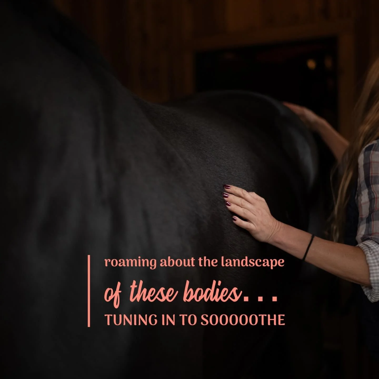 Who&rsquo;s in need of soothing? I&rsquo;m here for you✨ #equinestructuralintegration
#structuralintegration
#equinerolfing #mfr
#equinemyofascialrelease 
#equinebodywork
#integratedbodywork
#equinebodyworkcalifornia
#equinewellness
#listentohorses
#