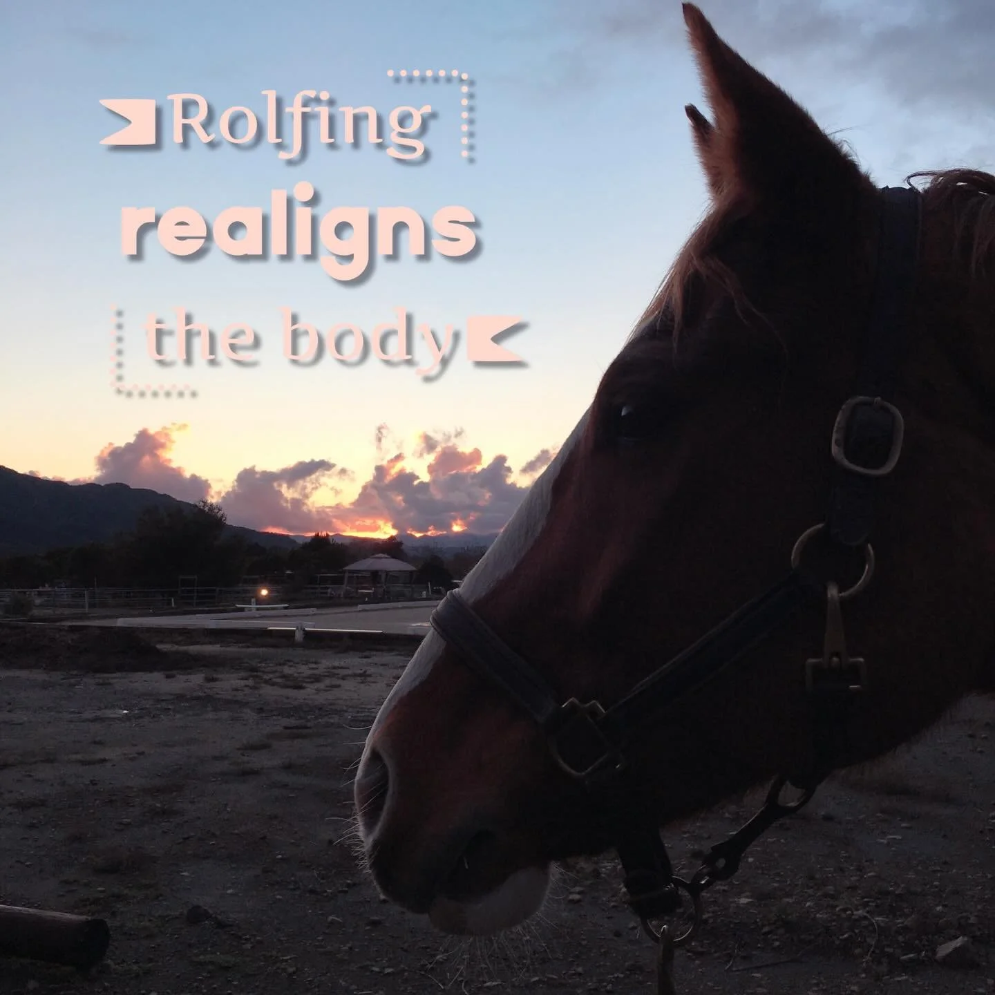 What does this mean for your horse? Improved rhythm, increased confidence, sharper agility, softer contact, reliable fluidity.  Does your horse need support with any of these elements?  #equinestructuralintegration
#structuralintegration
#equinerolfi