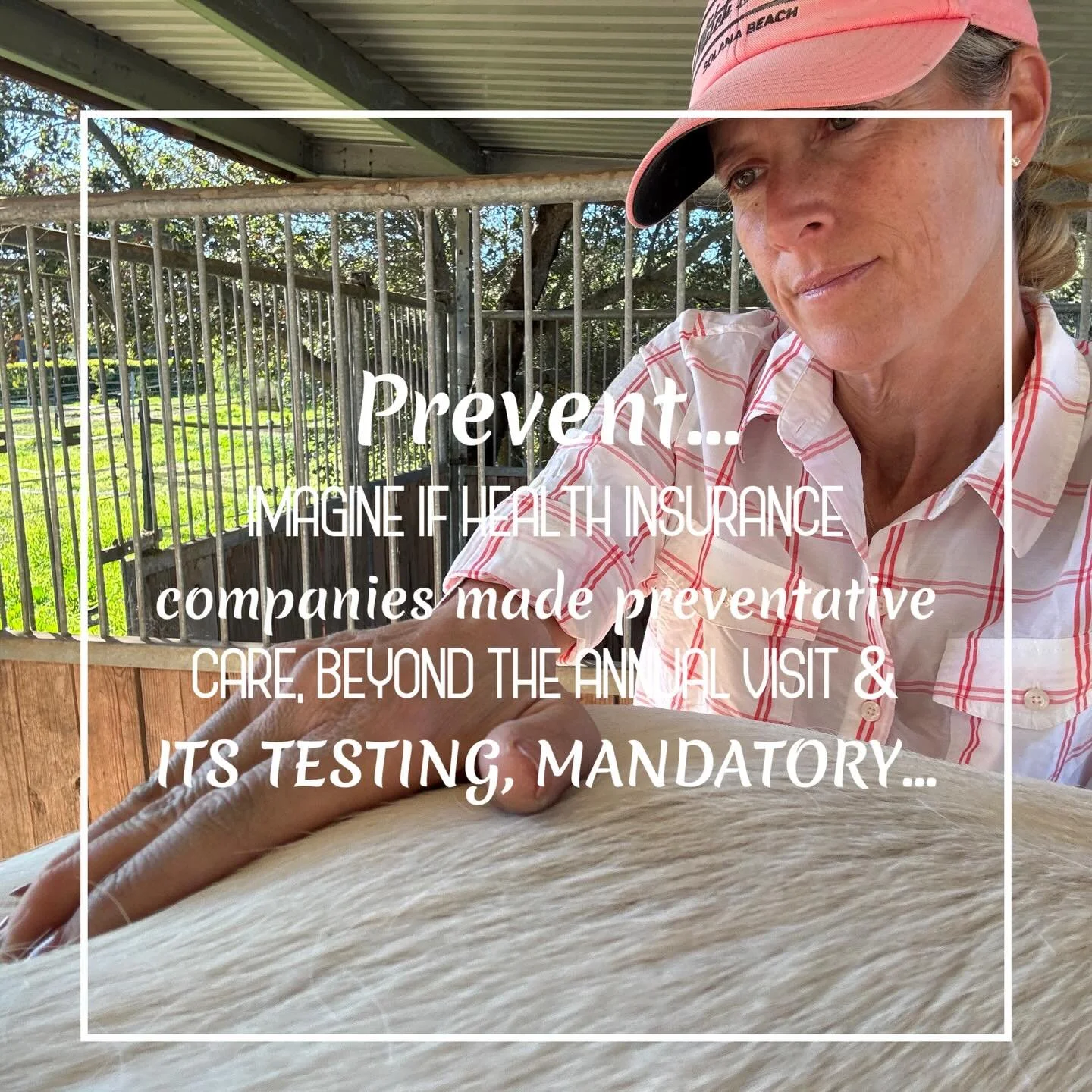 How much pain, suffering, time, and money would be saved? The same goes for the horse. Regular bodywork can identify and unwind problems in the early stages that might otherwise go unnoticed until pain, suffering, time, and money all add up. Join up 