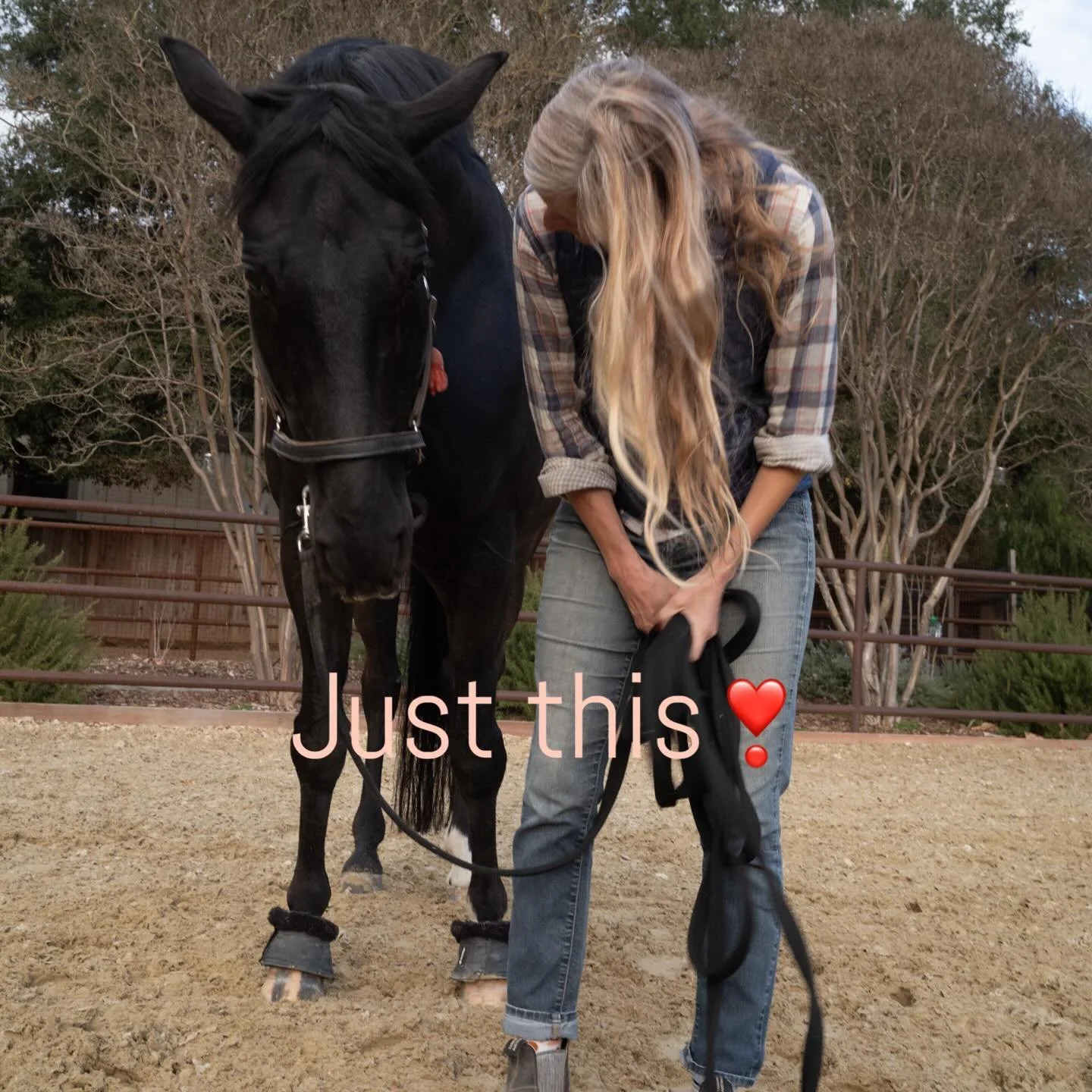 ❣️My sweetest client &amp; partner❣️

#equinestructuralintegration
#structuralintegration
#equinerolfing #mfr
#equinemyofascialrelease 
#equinebodywork
#integratedbodywork
#equinebodyworkcalifornia
#equinewellness
#listentohorses
#balancedequine
#fas