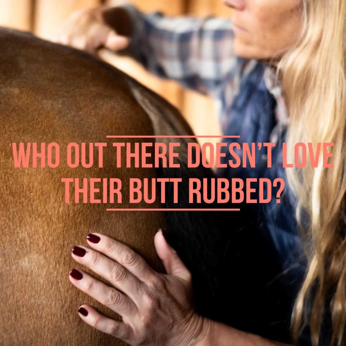 Ummm yes please 

#equinestructuralintegration
#structuralintegration
#equinerolfing #mfr
#equinemyofascialrelease 
equinebodywork
integratedbodywork
equinebodyworkcalifornia
equinewellness
listentohorses
balancedequine
fascialnetwork 
poisedequine
e