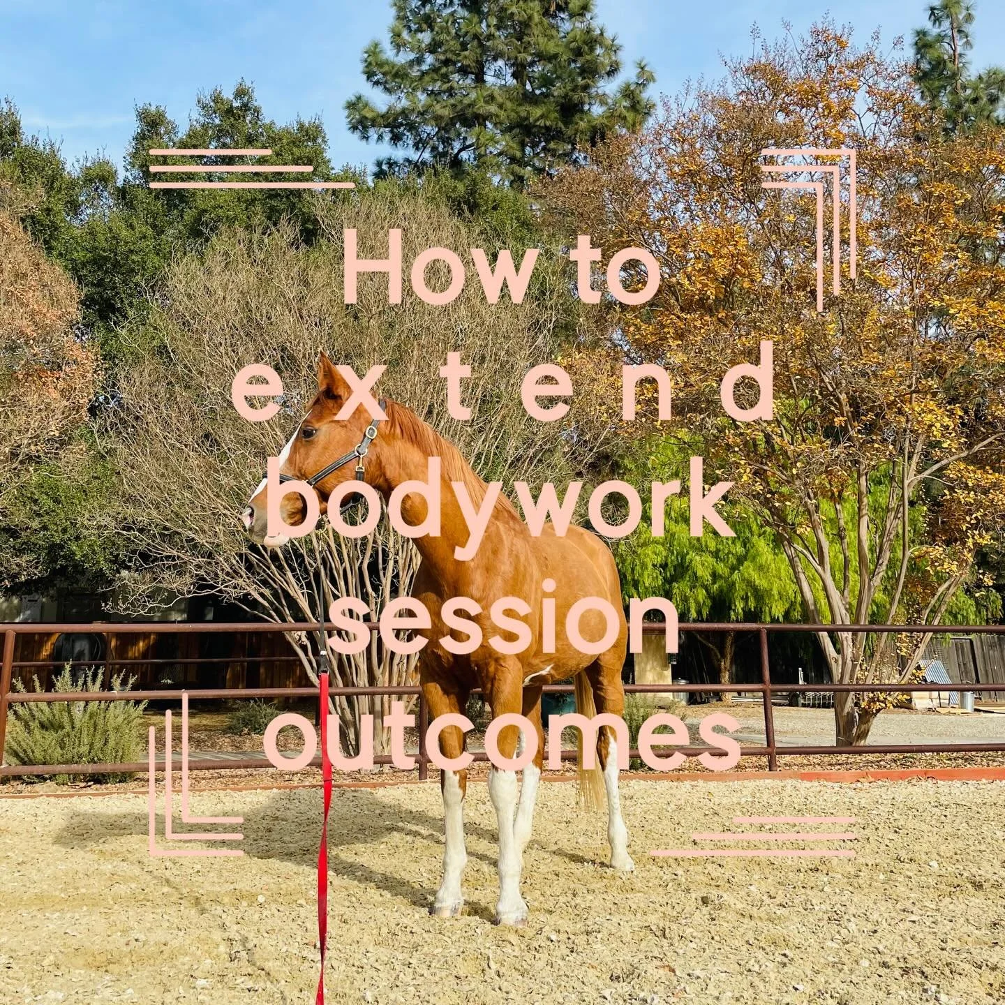 ✨Thorough deep curry session before workouts - reduce pressure but increase time over the sticky or uncomfortable spots

✨Ample walking - Before the workout, many times during the workout, and after the workout or perhaps walking is the whole workout