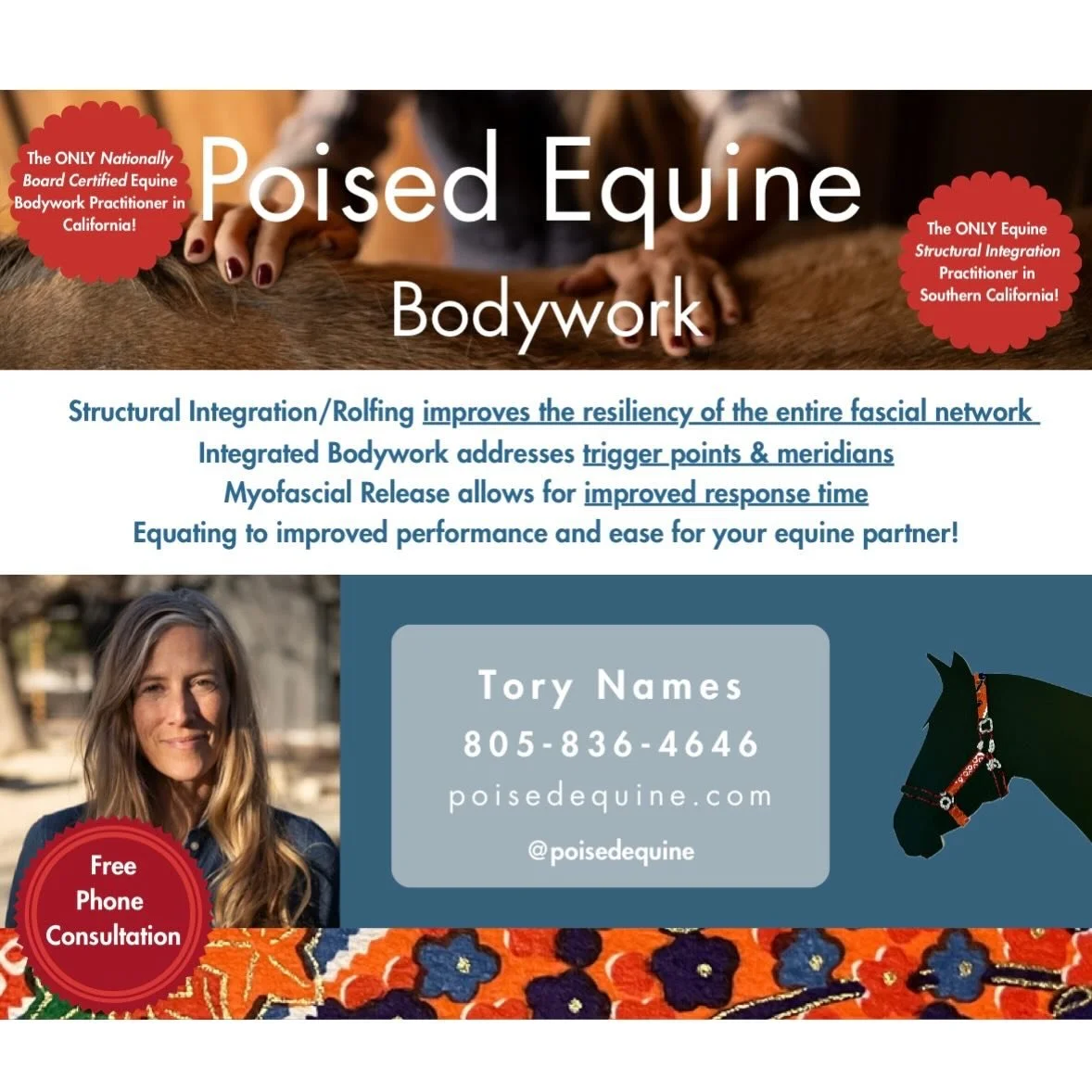I&rsquo;m here for you and your partner🐴 let&rsquo;s make this his or her best year yet&hellip; after all it is their year 💥#equinebodywork #socalequine #yearofthehorse